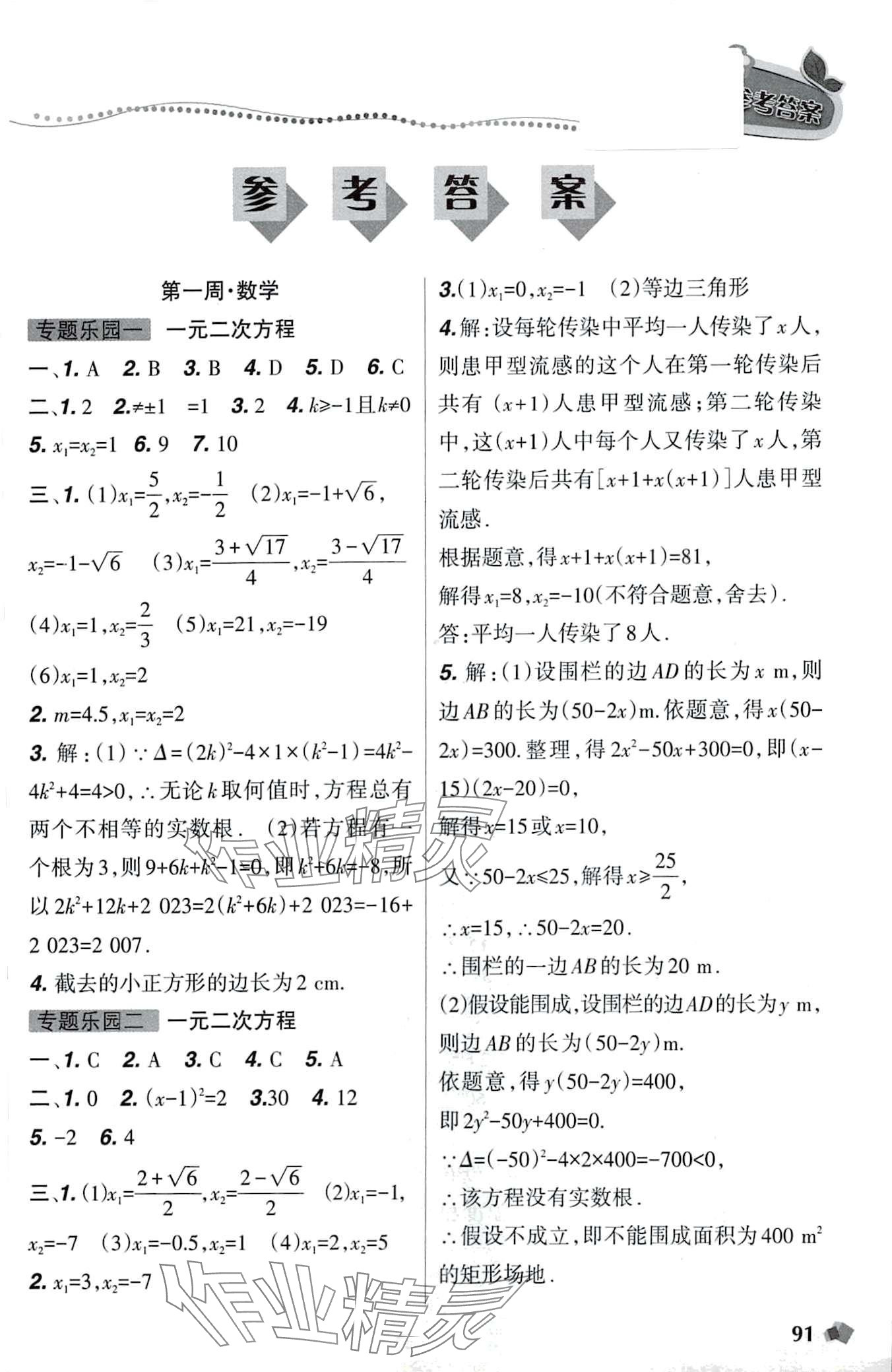 2024年寒假樂園遼寧師范大學(xué)出版社九年級(jí)理科版 第1頁