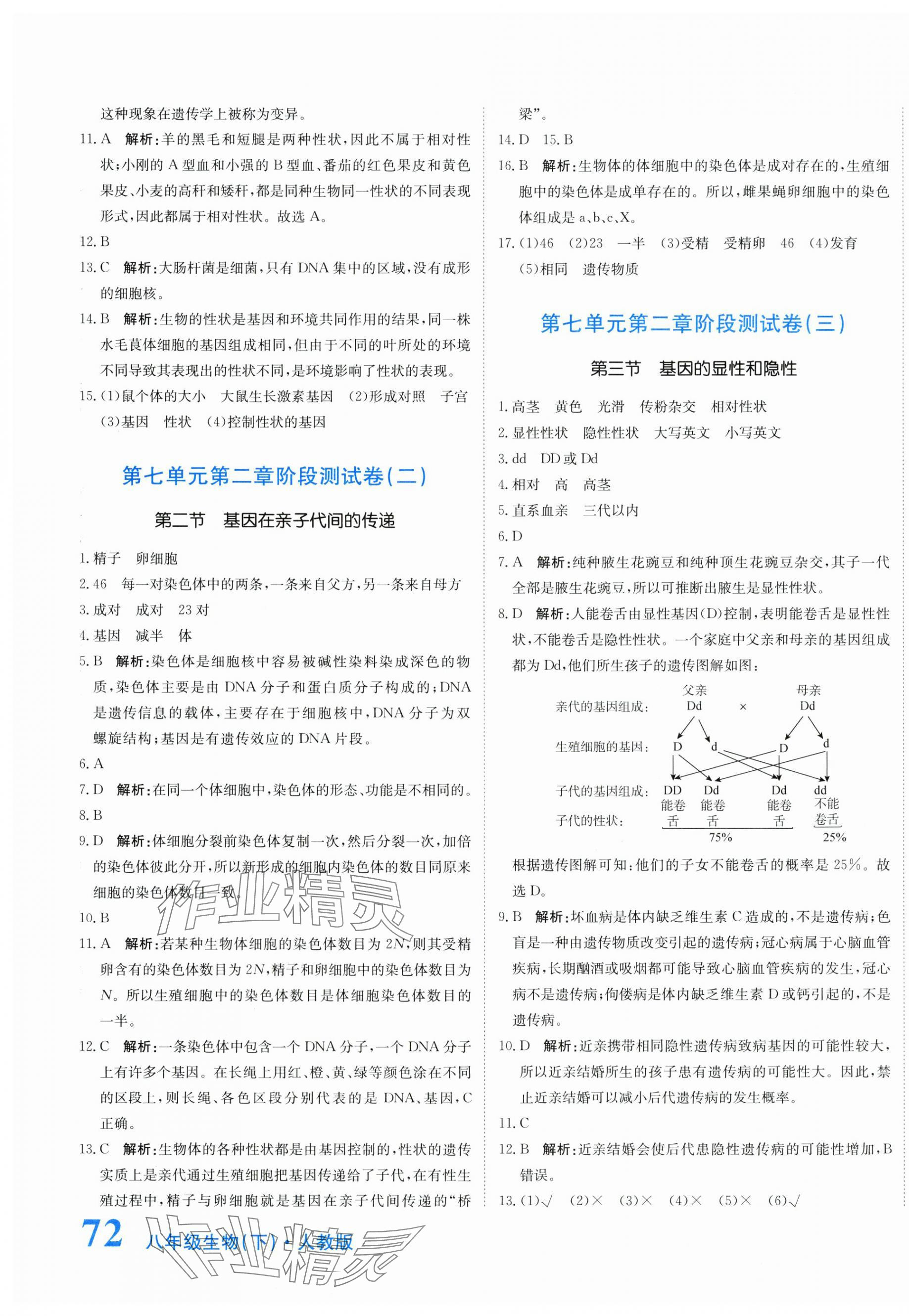 2024年提分教练八年级生物下册人教版 第3页