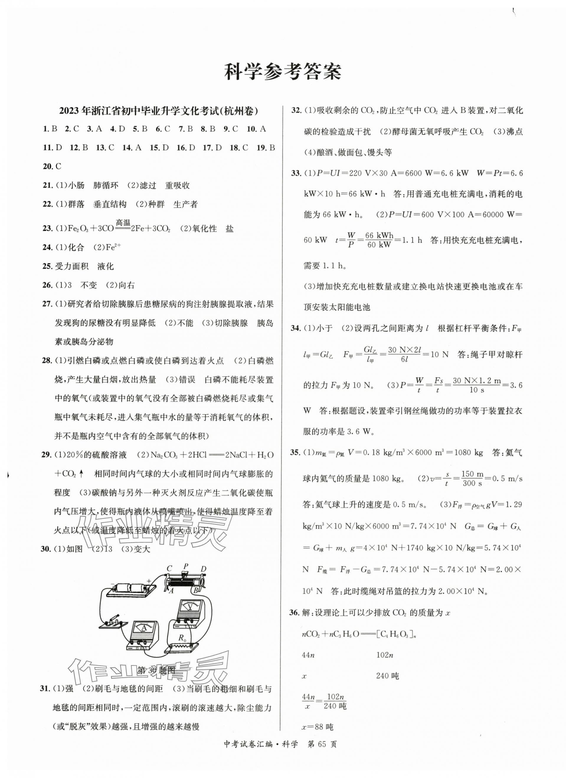 2024年中考必備浙江省中考試題匯編科學(xué) 第1頁