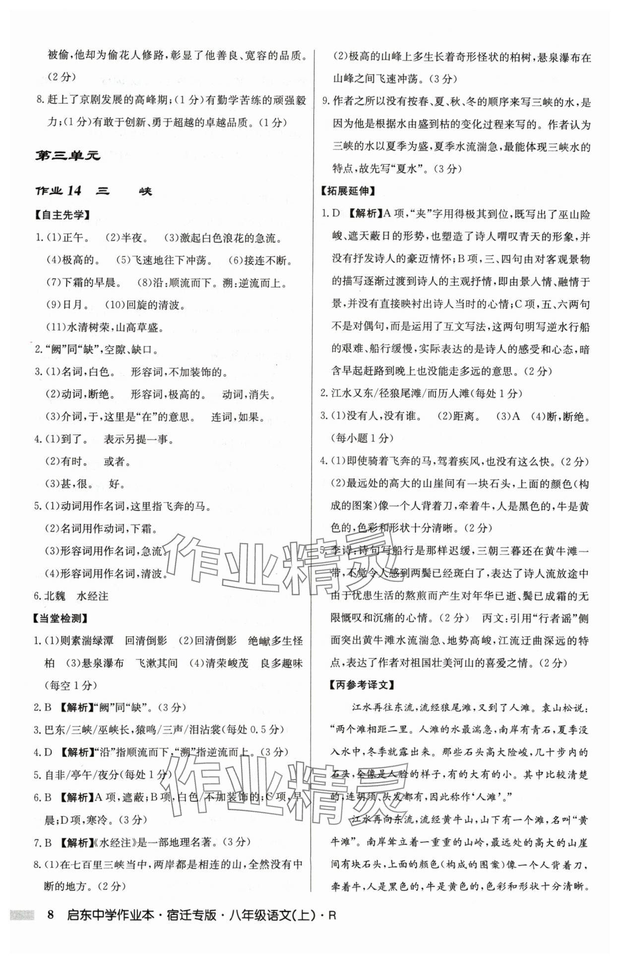 2024年啟東中學(xué)作業(yè)本八年級語文上冊人教版宿遷專版 參考答案第8頁