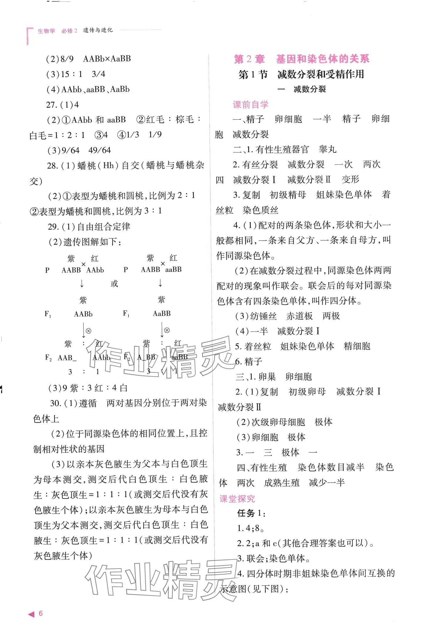 2024年普通高中新課程同步練習(xí)冊高中生物必修2人教版 第6頁