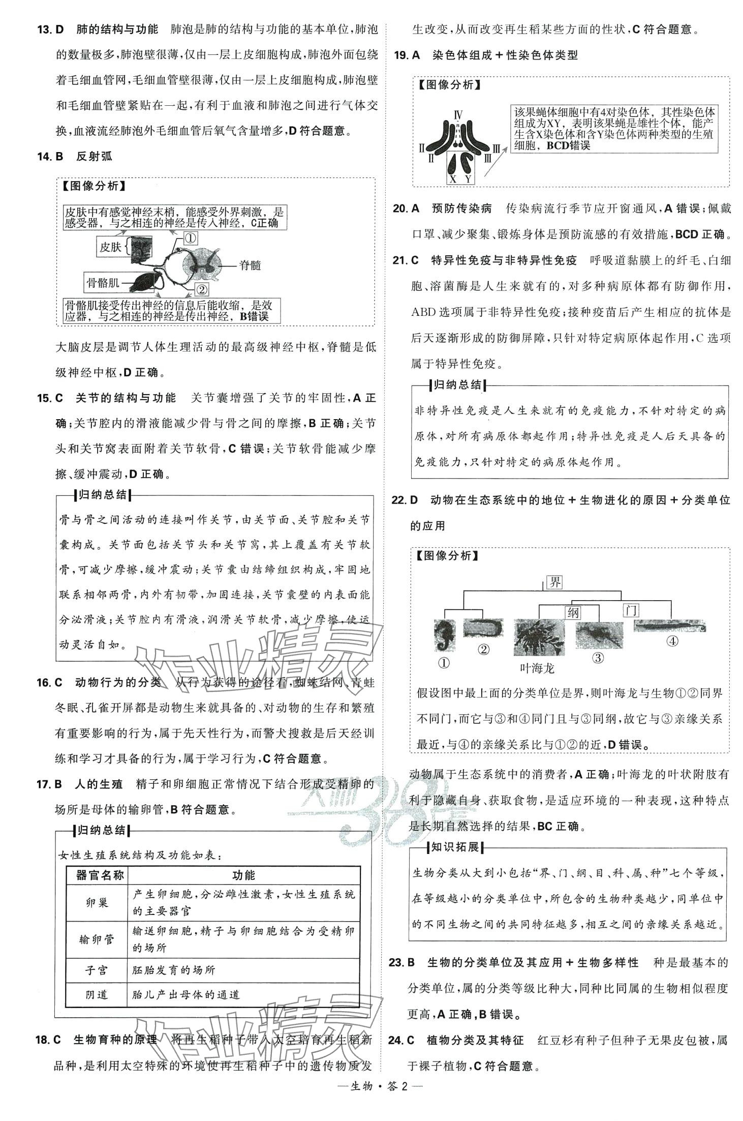 2024年天利38套新课标全国中考试题精选生物中考 第4页