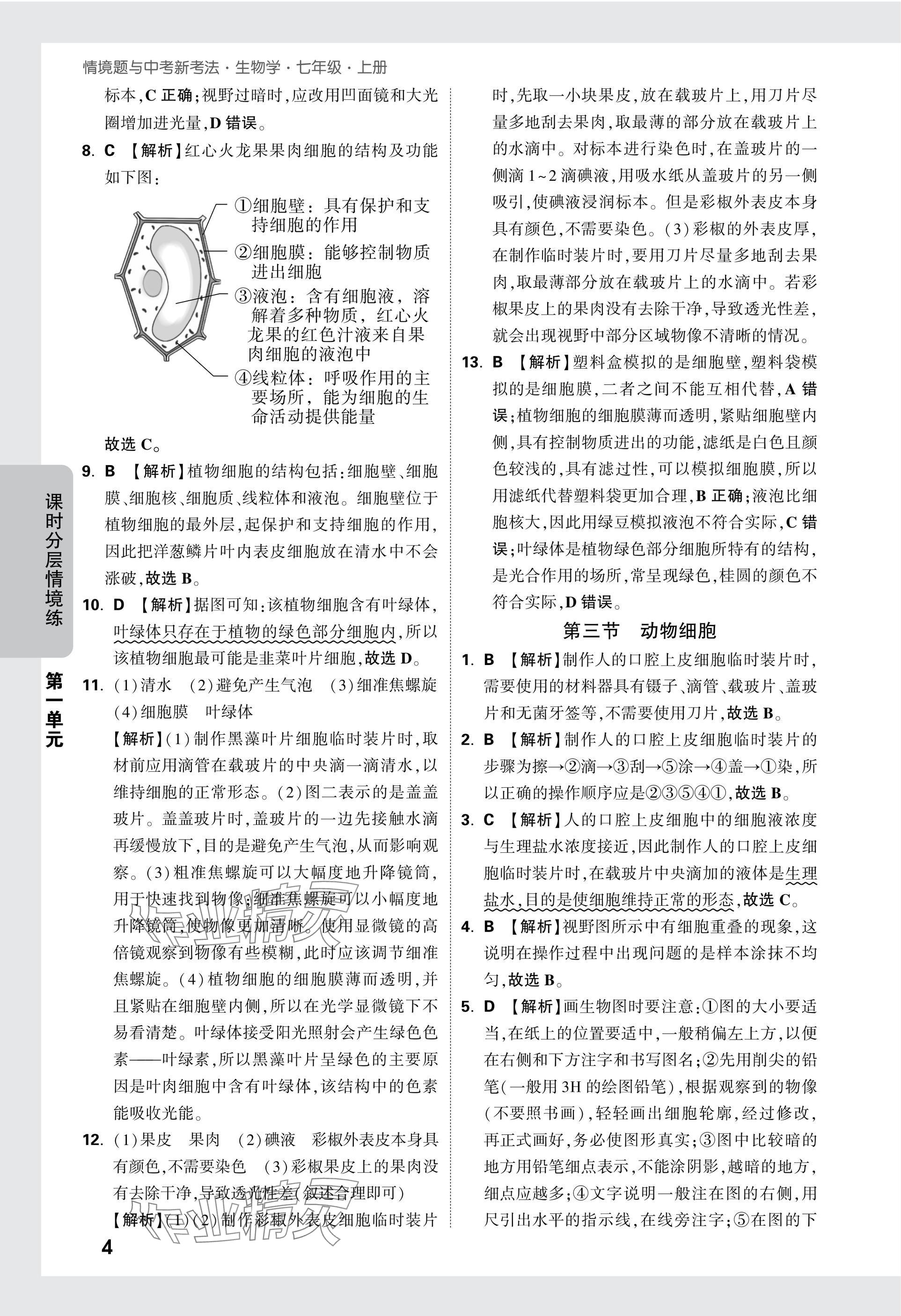 2025版萬唯中考情境題七年級生物上冊人教版 參考答案第4頁