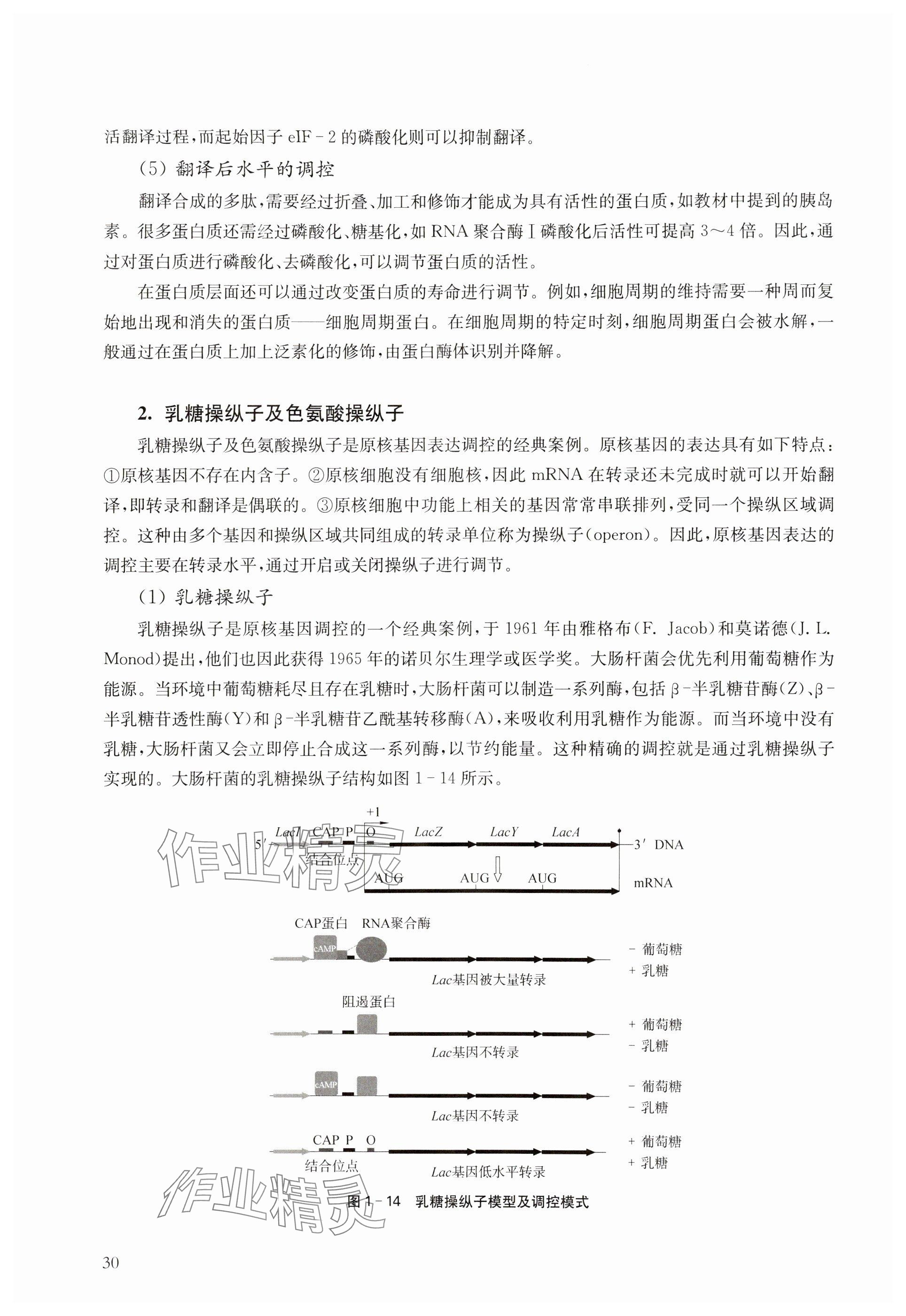 2024年教材课本高中生物必修2沪教版 参考答案第30页