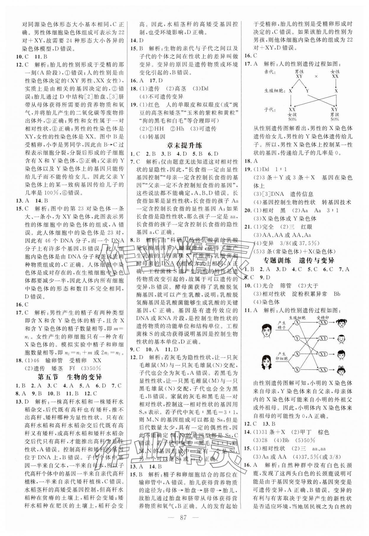 2024年細(xì)解巧練八年級生物下冊魯科版54制 參考答案第3頁