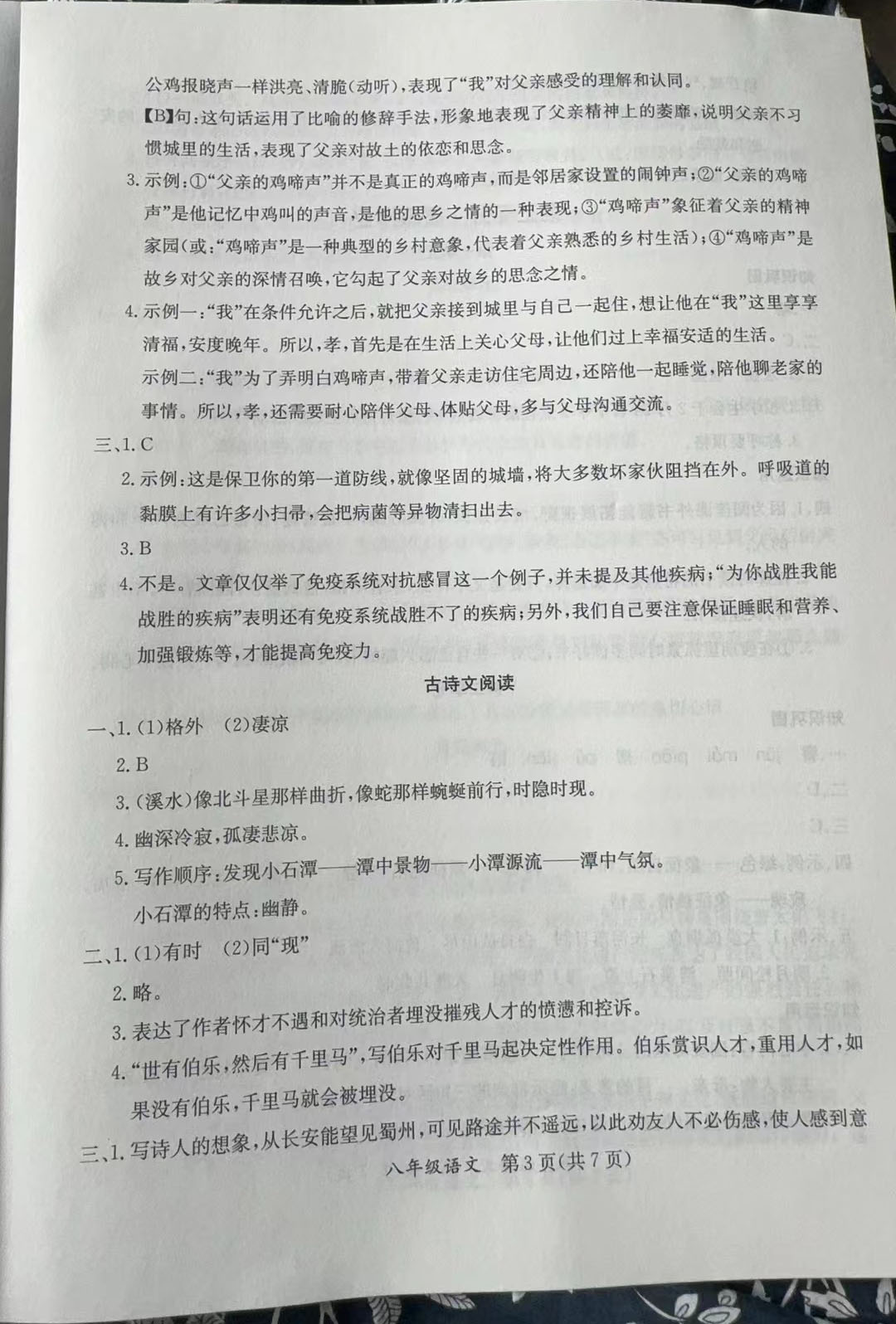 2024年暑假作業(yè)延邊教育出版社八年級合訂本A版河南專版 參考答案第3頁