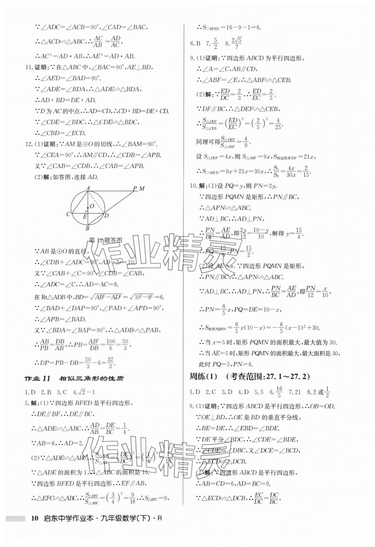 2024年启东中学作业本九年级数学下册人教版 第10页
