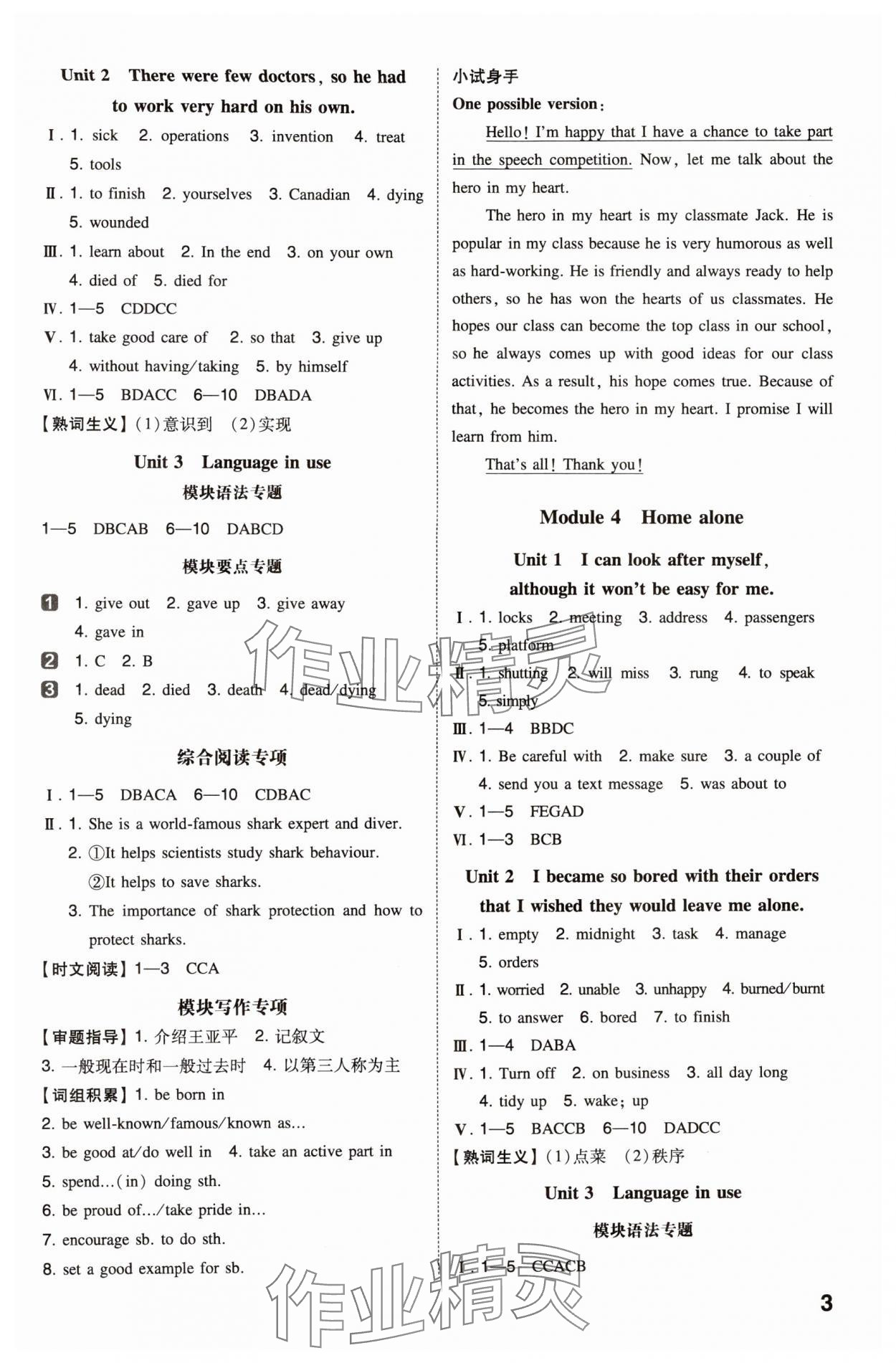 2024年一本同步訓練九年級初中英語上冊外研版 第3頁