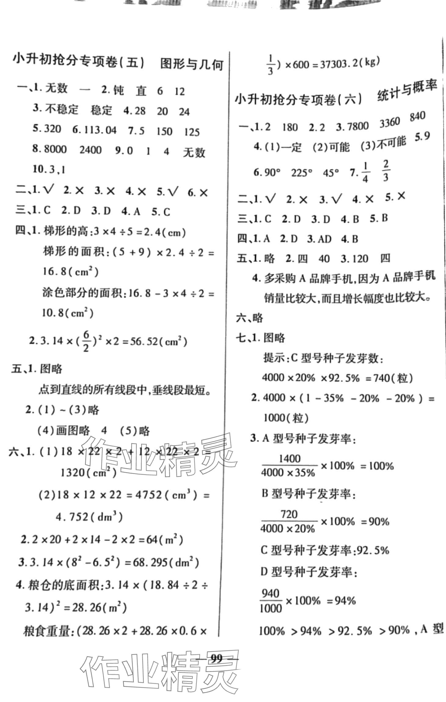 2024年毕业总复习小升初入学测试卷数学 第3页