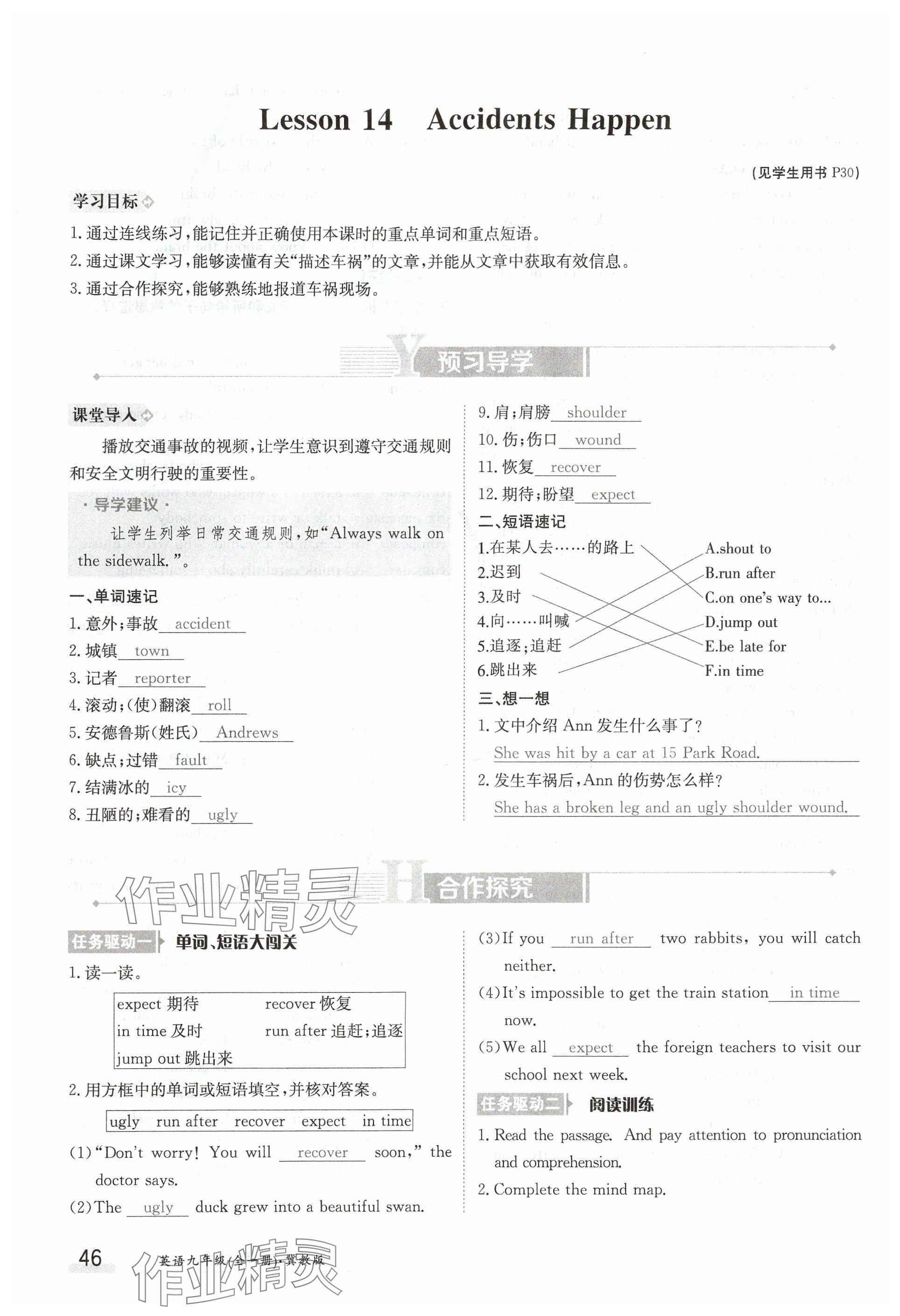 2024年金太陽導(dǎo)學(xué)案九年級英語全一冊冀教版 參考答案第46頁