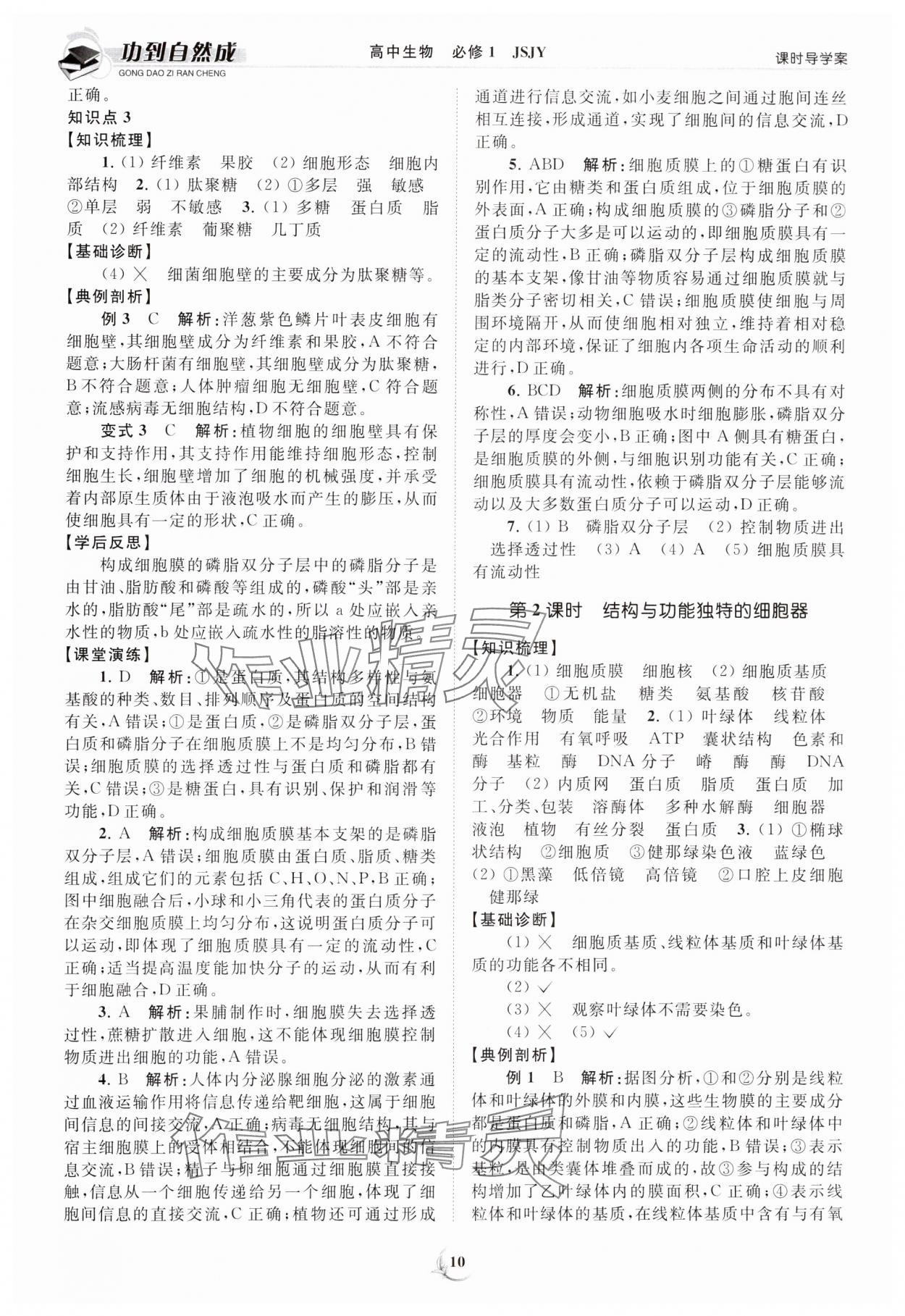 2023年功到自然成課時(shí)導(dǎo)學(xué)案高中生物必修1蘇教版 第10頁(yè)