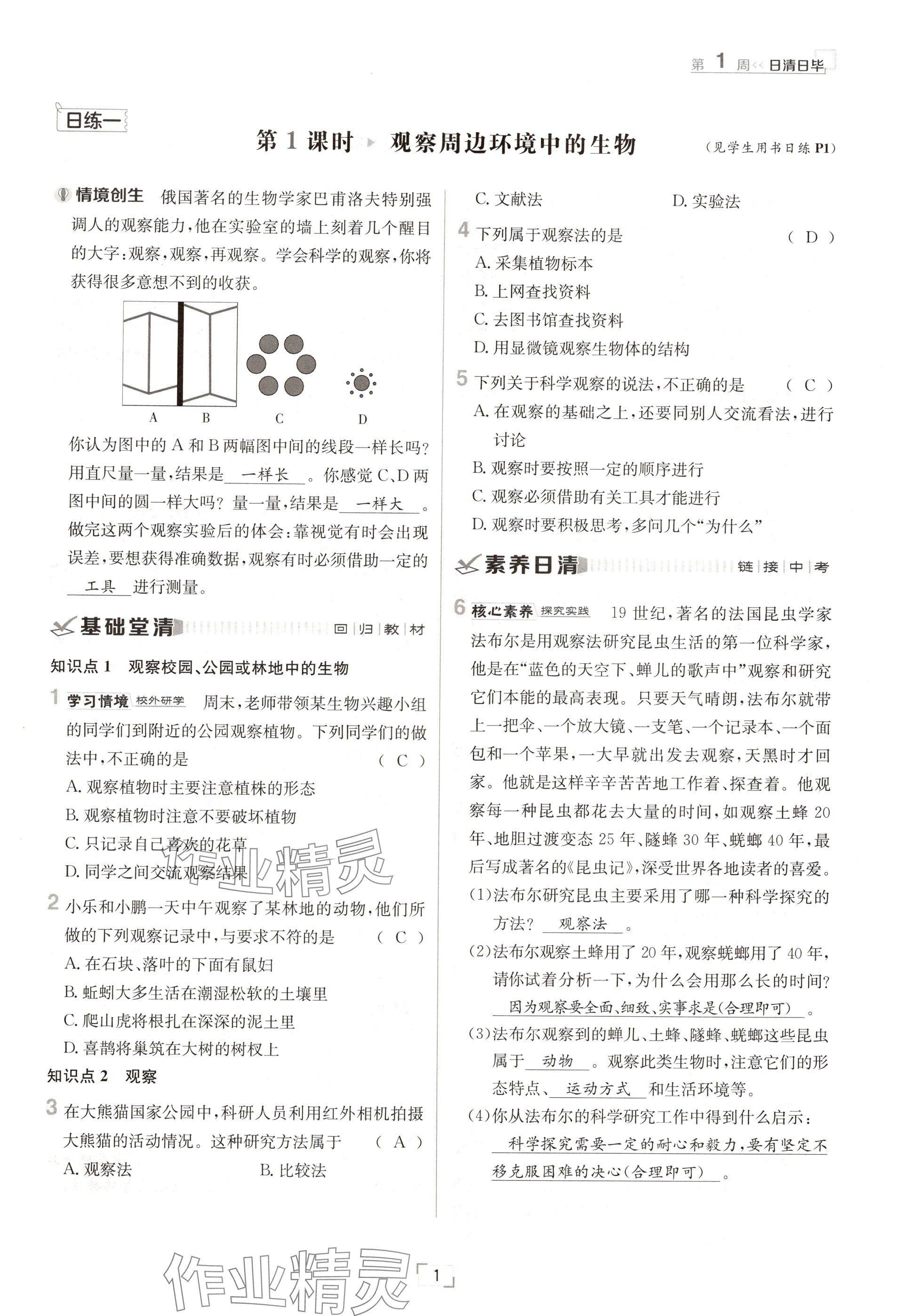 2024年日清周練七年級生物上冊人教版 參考答案第1頁