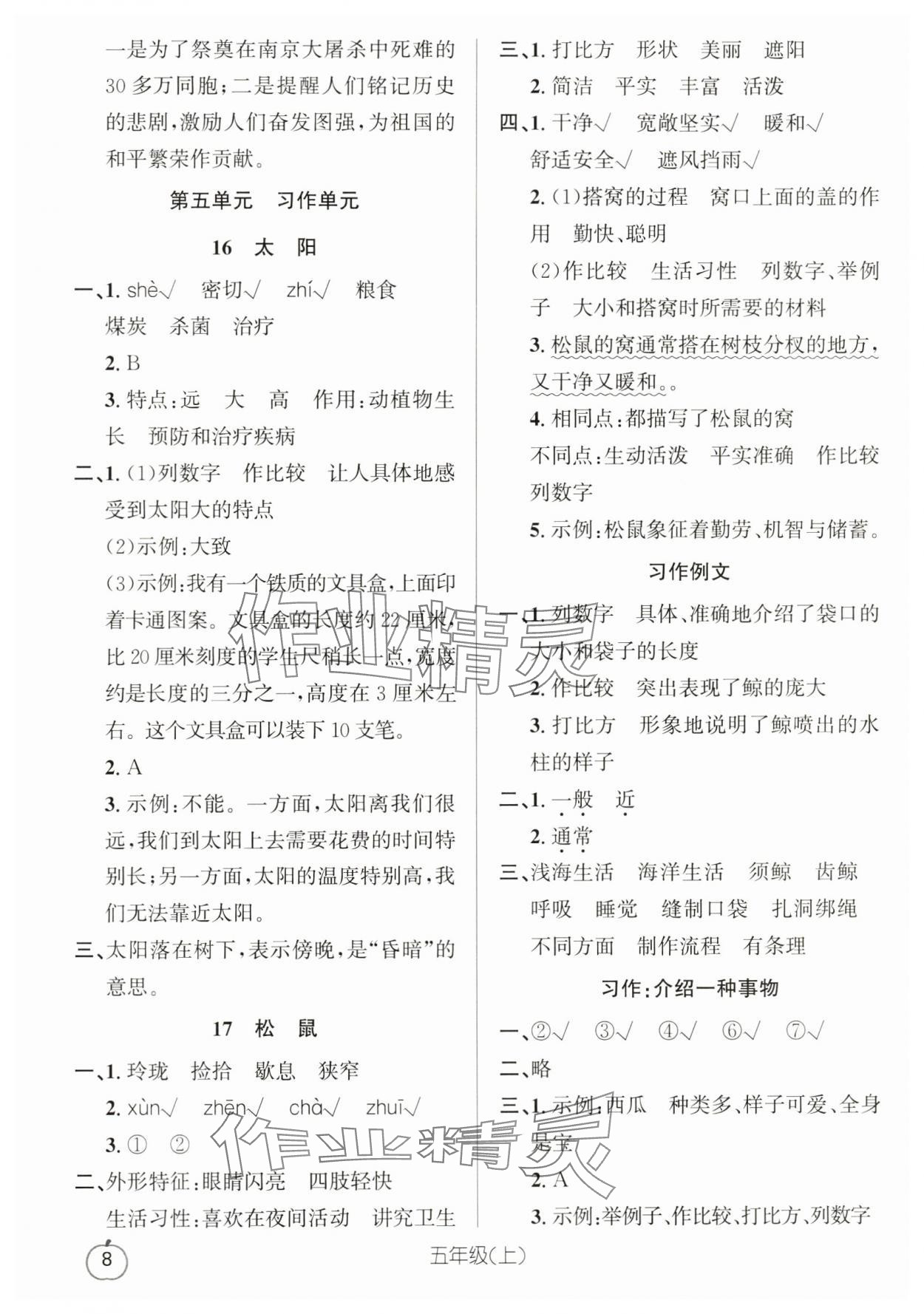 2024年语文要素天天练五年级语文上册人教版浙江专版 参考答案第8页