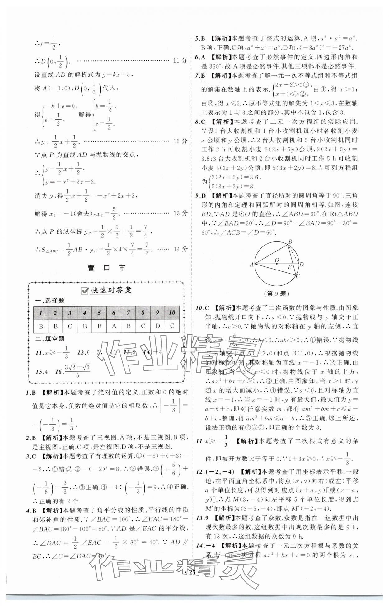 2024年中考必備遼寧師范大學(xué)出版社數(shù)學(xué)遼寧專版 參考答案第25頁(yè)