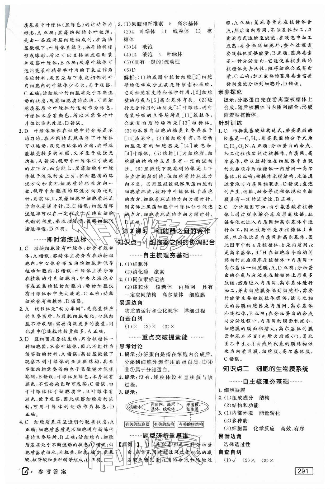 2023年红对勾讲与练高中生物必修1分子与细胞人教版 参考答案第13页