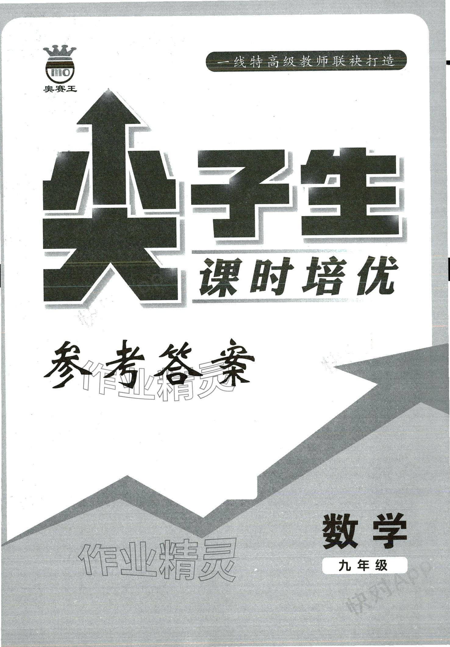 2024年尖子生课时培优九年级数学全一册人教版 第1页