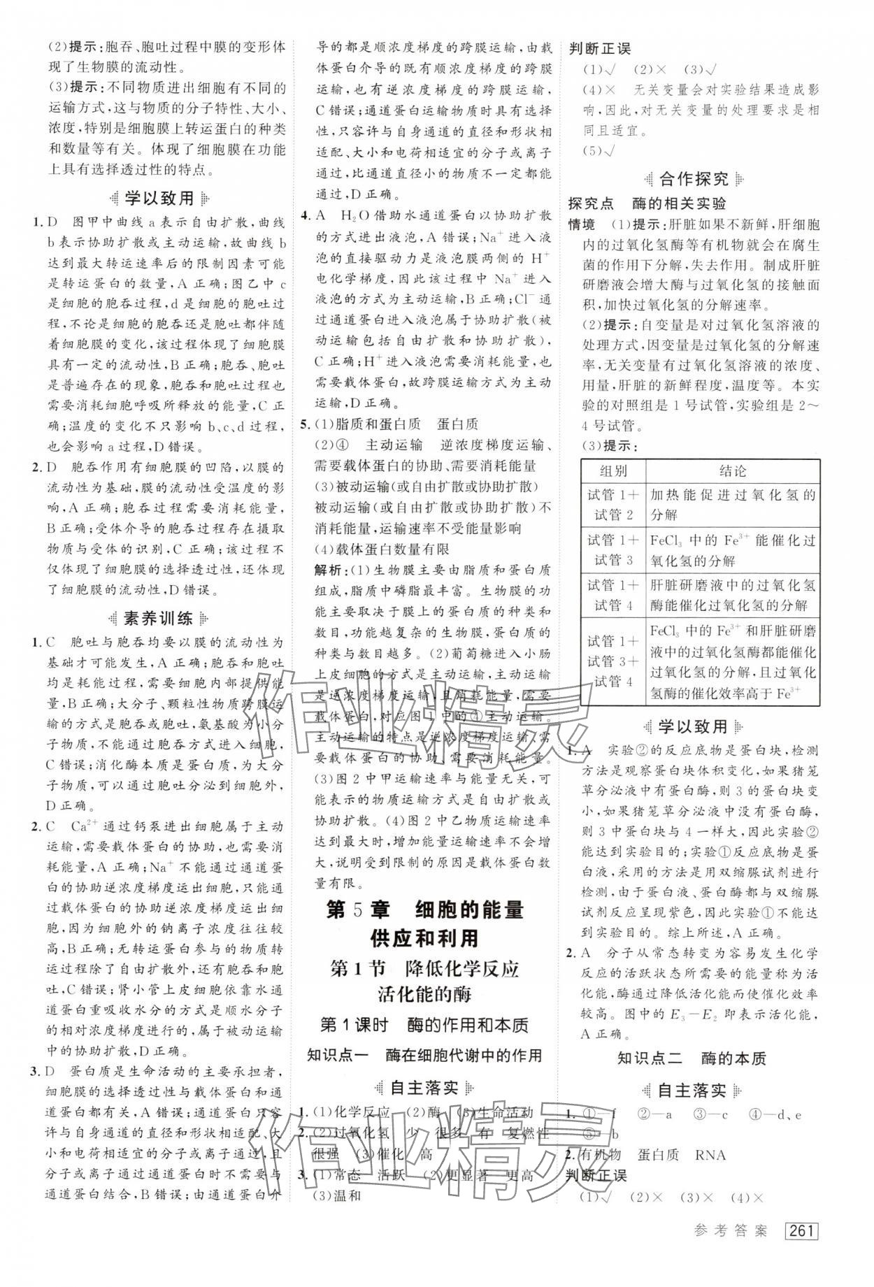 2024年红对勾讲与练高中生物必修1人教版 第15页