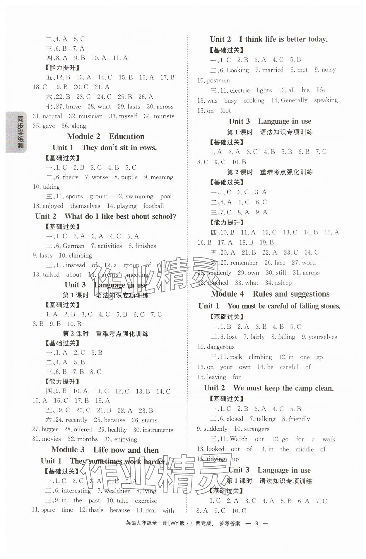 2024年全效學習同步學練測九年級英語全一冊外研版廣西專版 第8頁