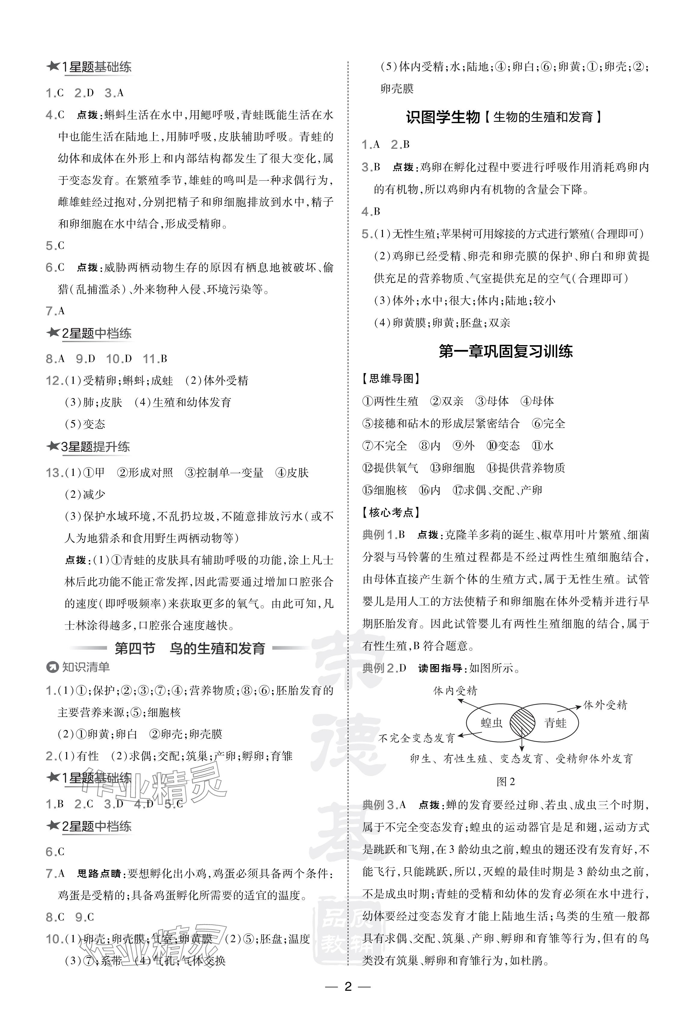 2024年點(diǎn)撥訓(xùn)練八年級(jí)生物下冊人教版 參考答案第2頁