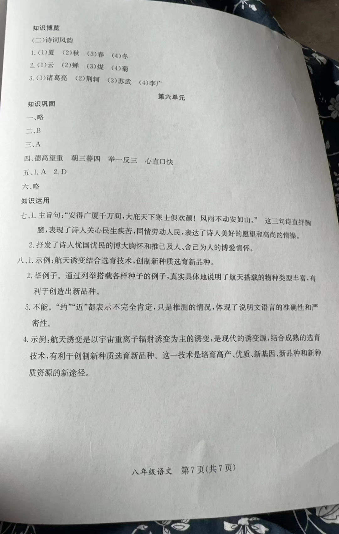 2024年暑假作業(yè)延邊教育出版社八年級(jí)合訂本A版河南專版 參考答案第7頁