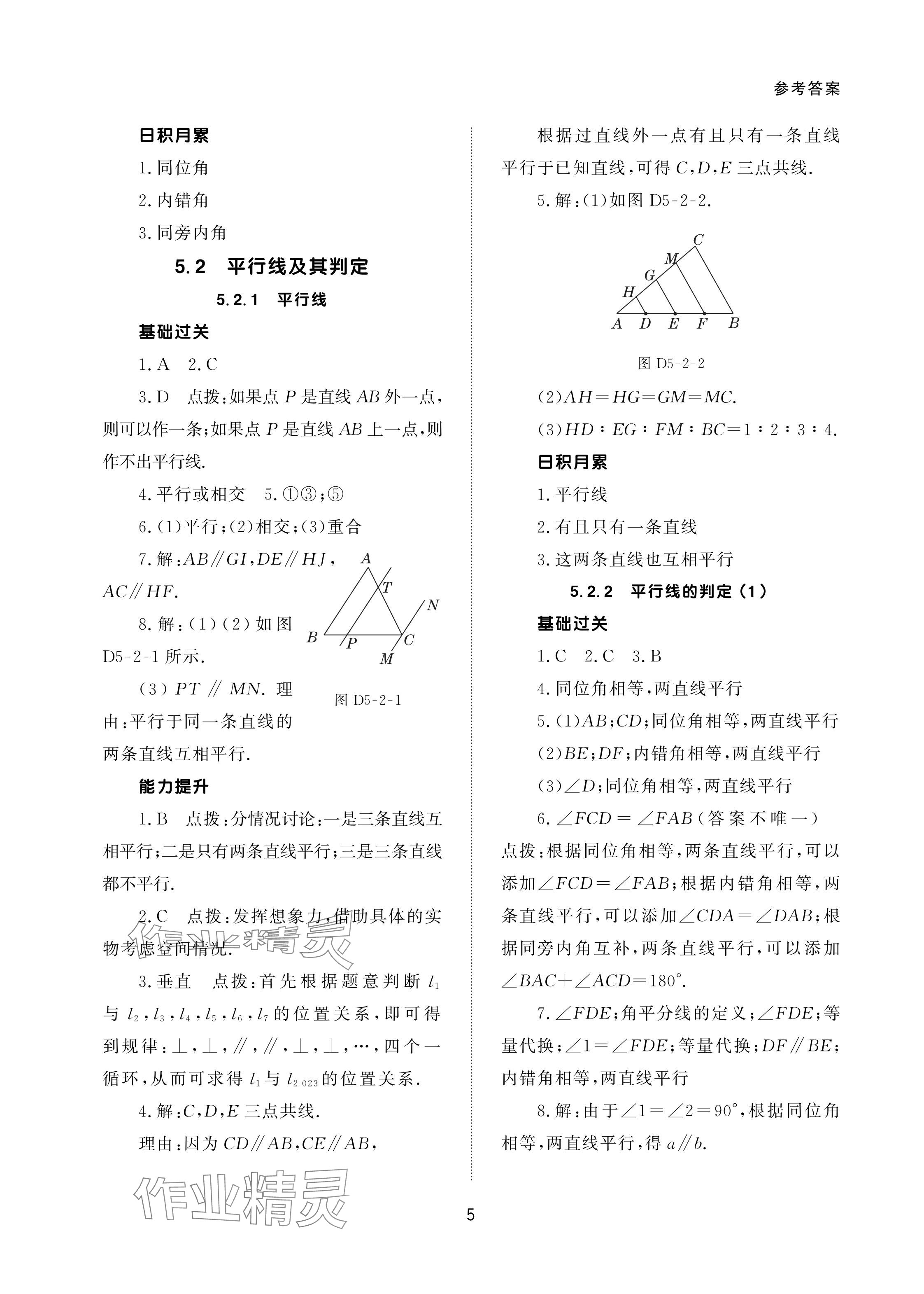 2024年配套综合练习甘肃七年级数学下册人教版 参考答案第5页