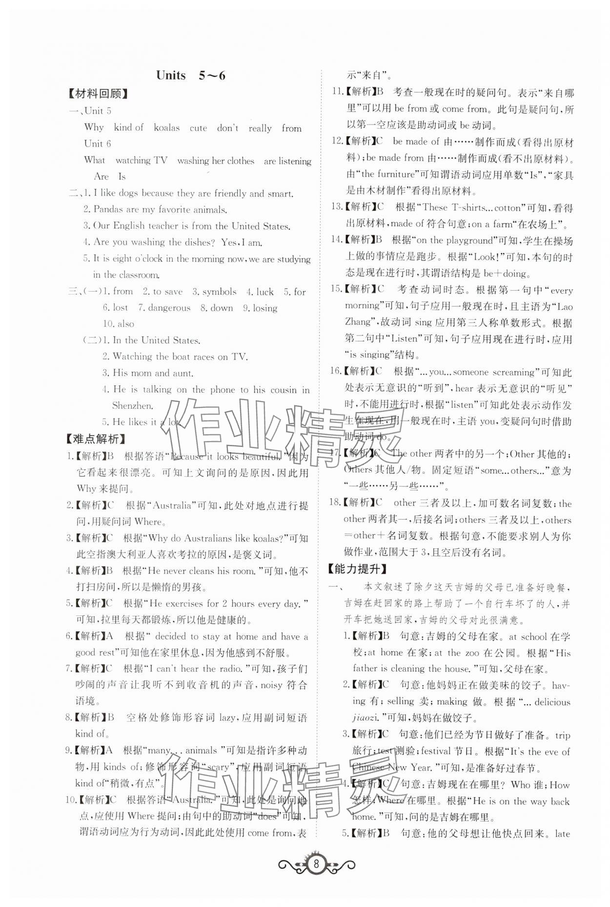 2024年中考先锋中考总复习英语&nbsp;第8页