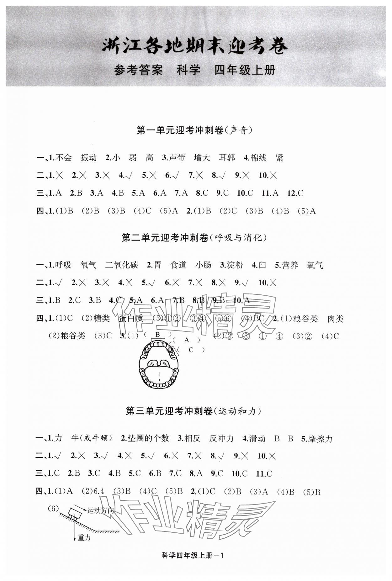 2023年浙江各地期末迎考卷四年級(jí)科學(xué)上冊(cè)教科版 第1頁(yè)