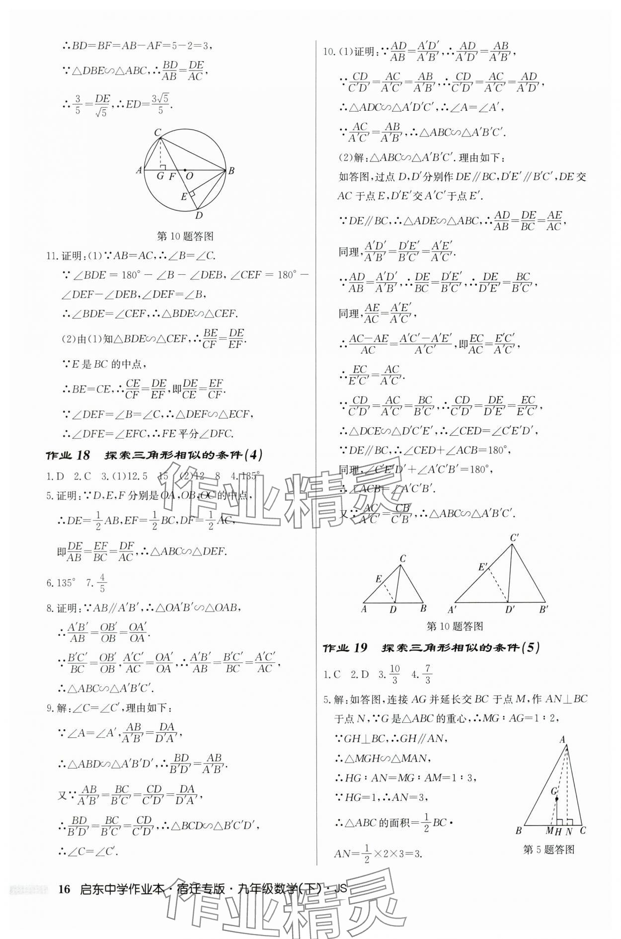 2024年啟東中學作業(yè)本九年級數(shù)學下冊蘇科版宿遷專版 第16頁