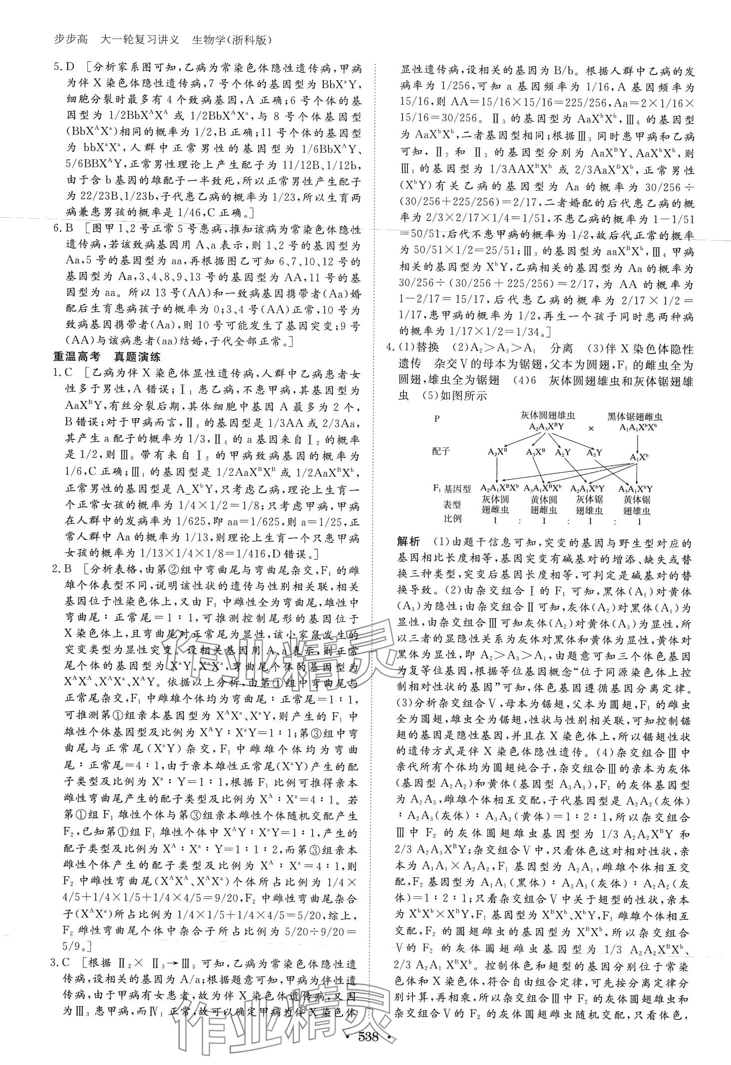 2024年步步高大一輪復習講義高中生物浙科版 第28頁