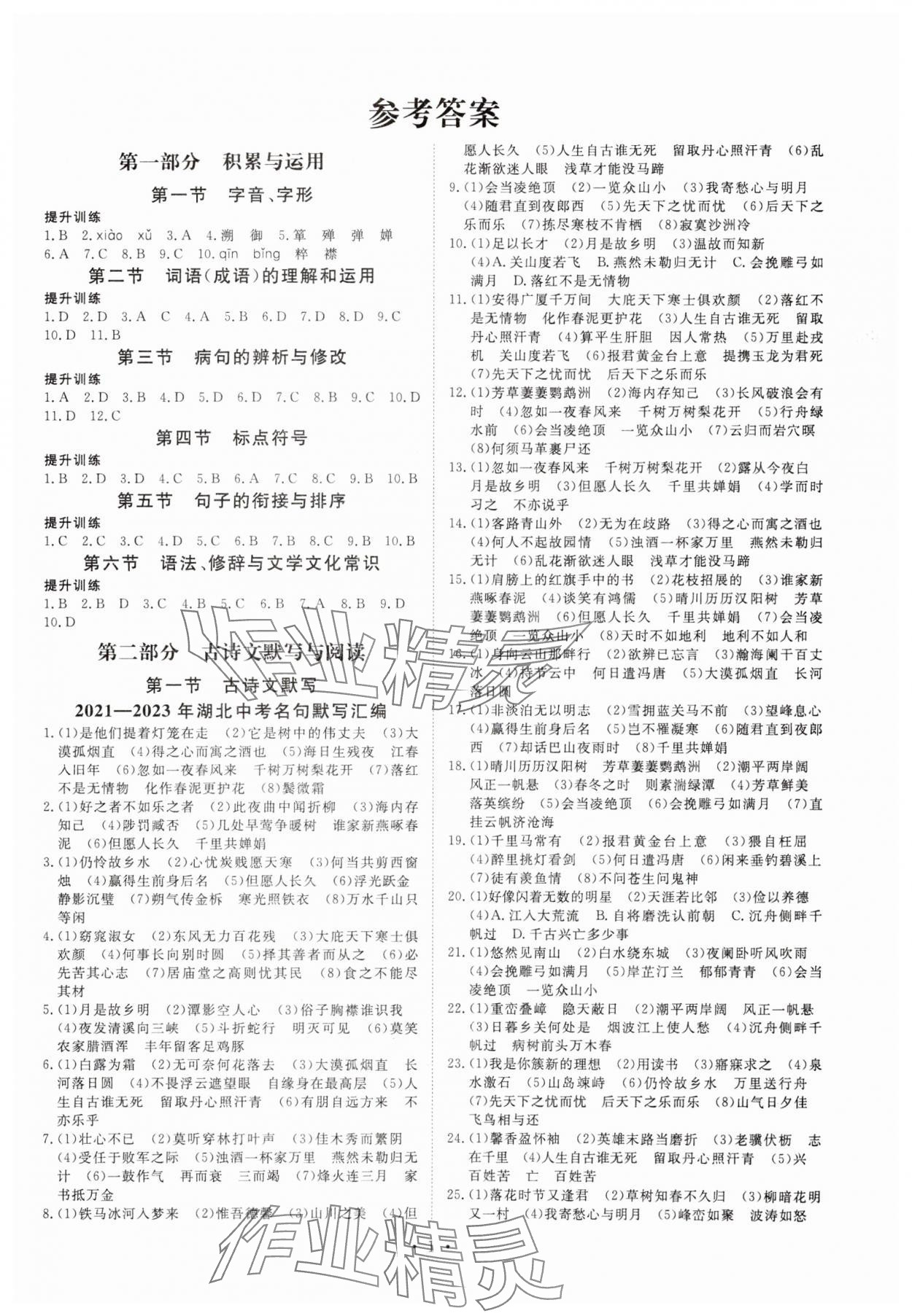 2024年湖北中考初中学业水平考试总复习语文 第1页