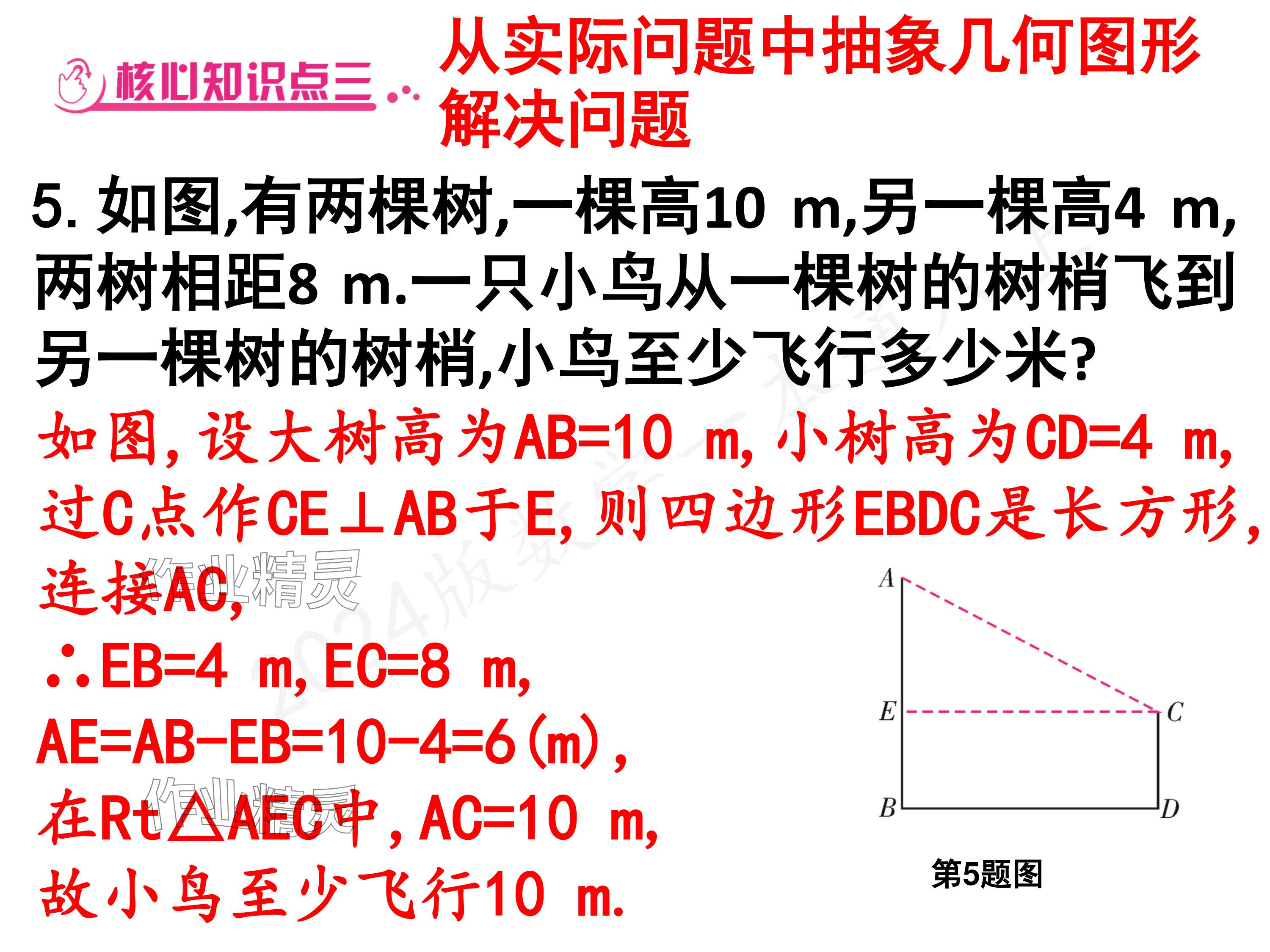 2024年一本通武汉出版社八年级数学上册北师大版核心板 参考答案第17页