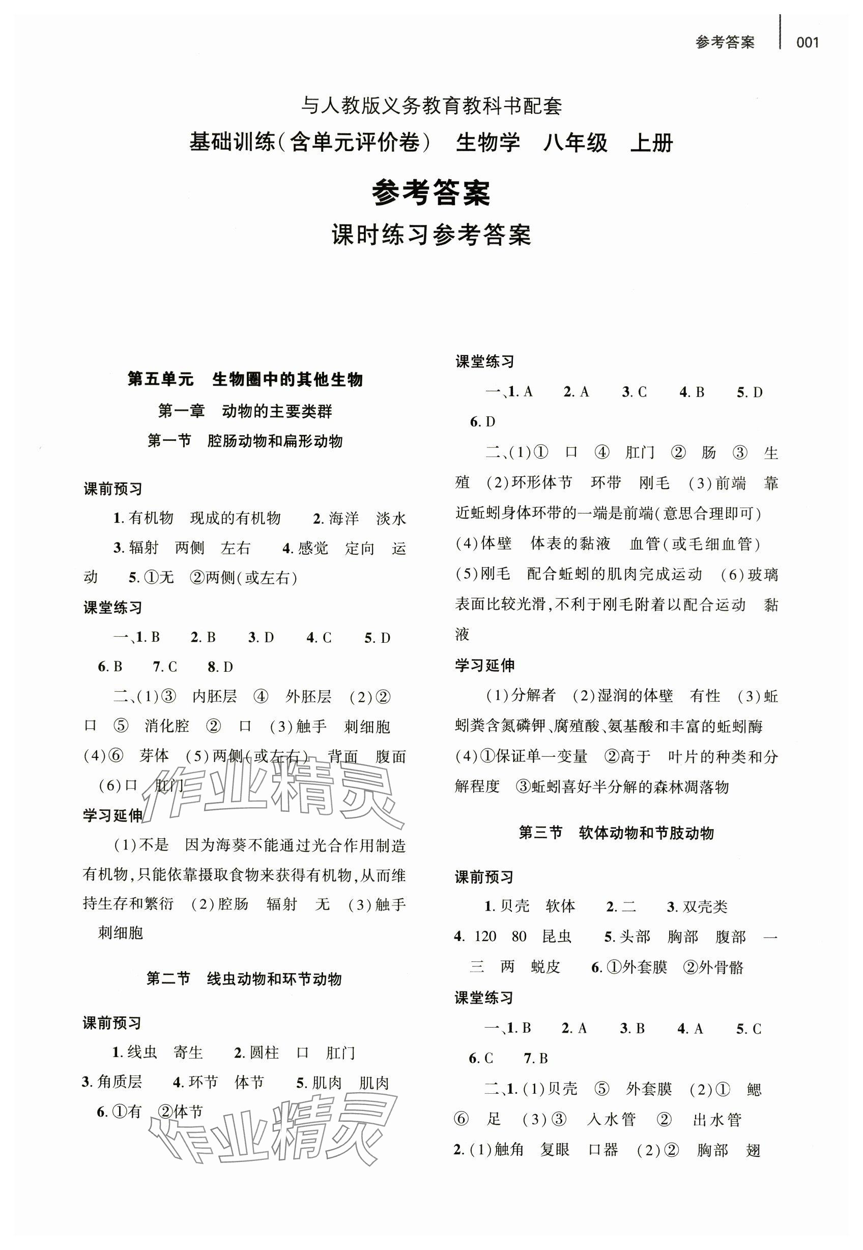 2024年基礎(chǔ)訓(xùn)練大象出版社八年級生物上冊人教版 參考答案第1頁