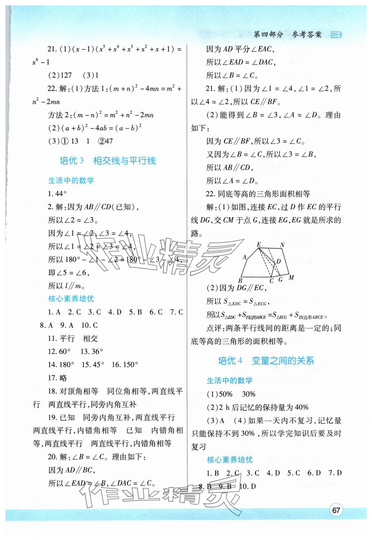 2024年暑假作業(yè)與生活陜西師范大學出版總社有限公司七年級數(shù)學北師大版 參考答案第2頁