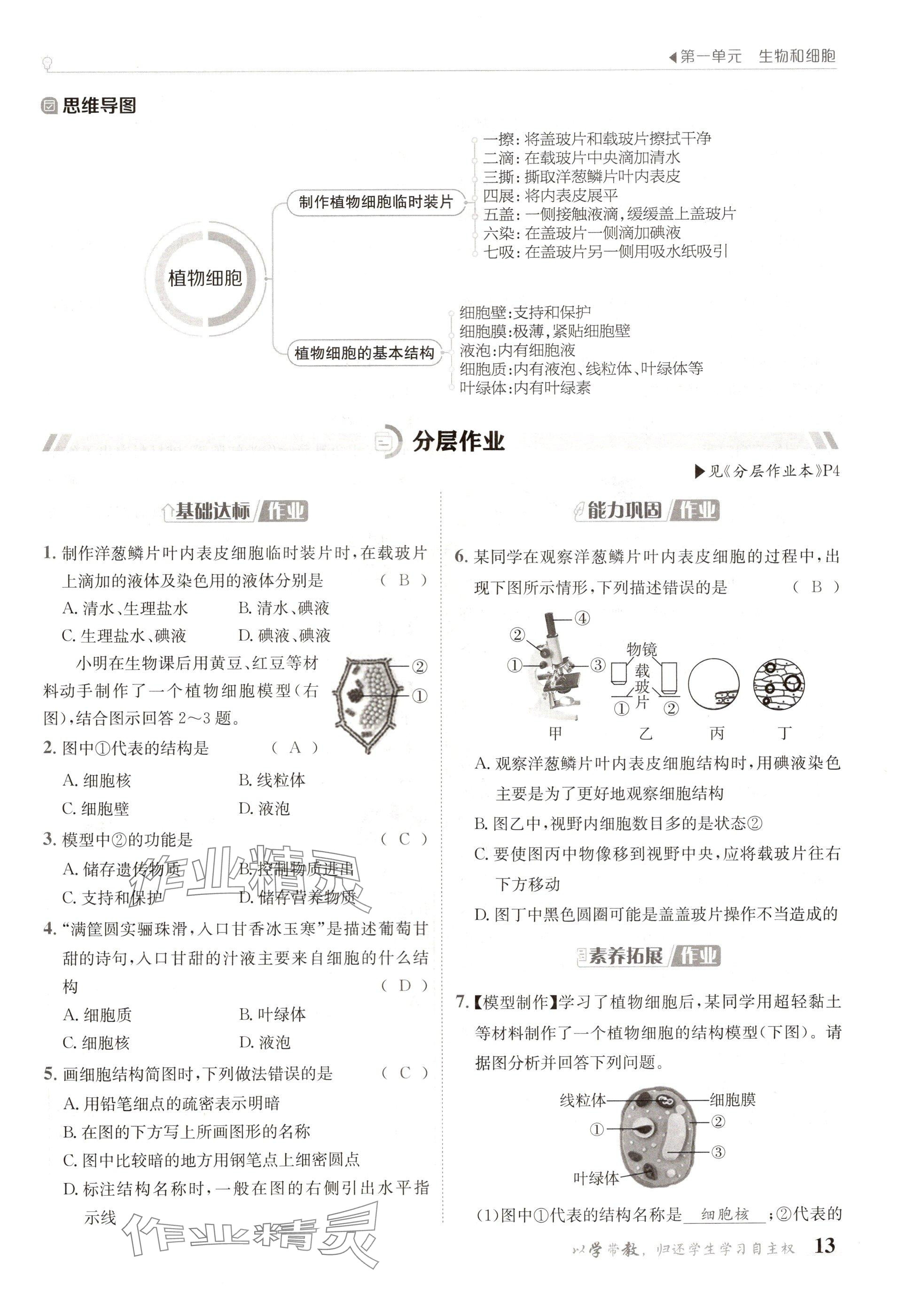 2024年金太陽導(dǎo)學(xué)案七年級生物上冊人教版 參考答案第13頁