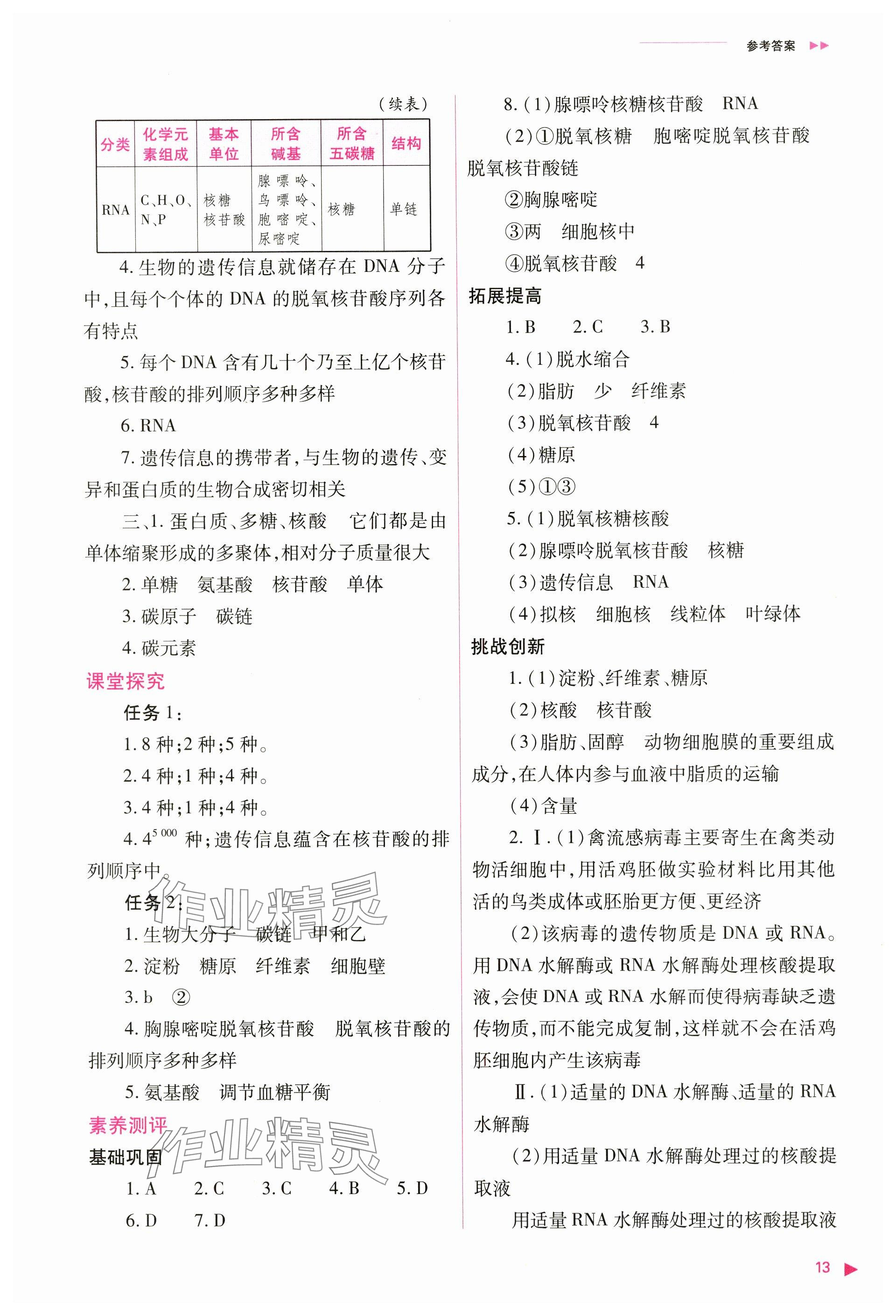 2024年普通高中新課程同步練習(xí)冊高中生物必修1人教版 參考答案第13頁