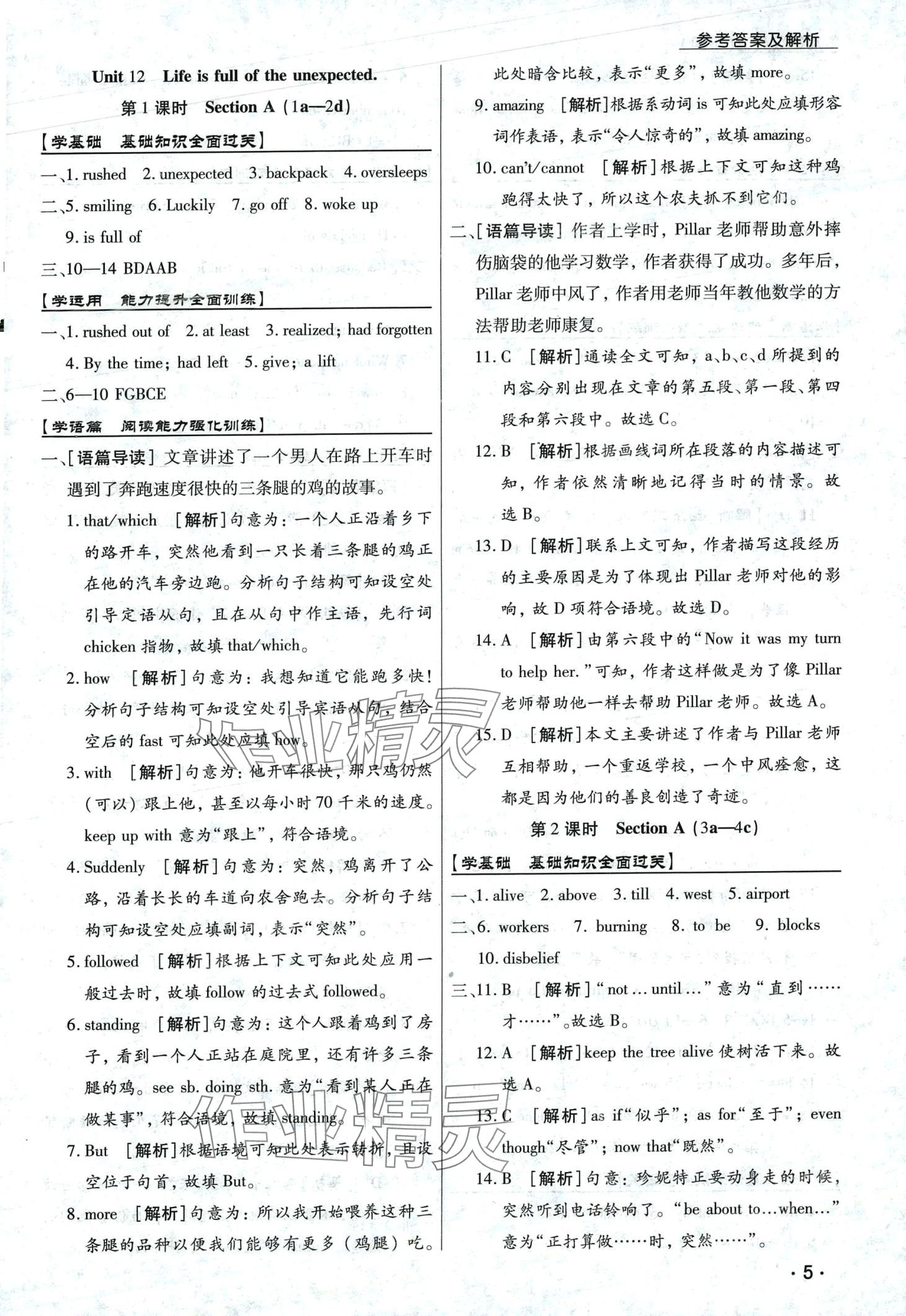 2024年学升同步练测九年级英语下册人教版 第5页