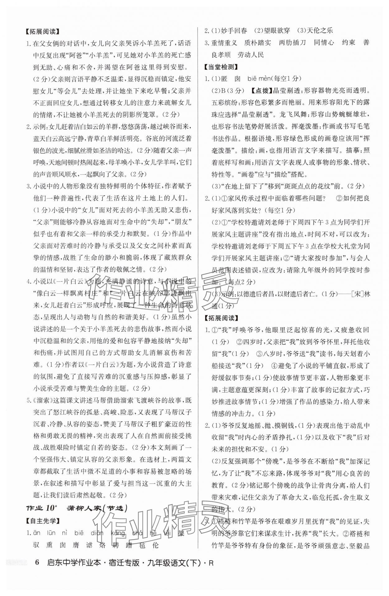 2025年啟東中學(xué)作業(yè)本九年級語文下冊人教版宿遷專版 參考答案第6頁