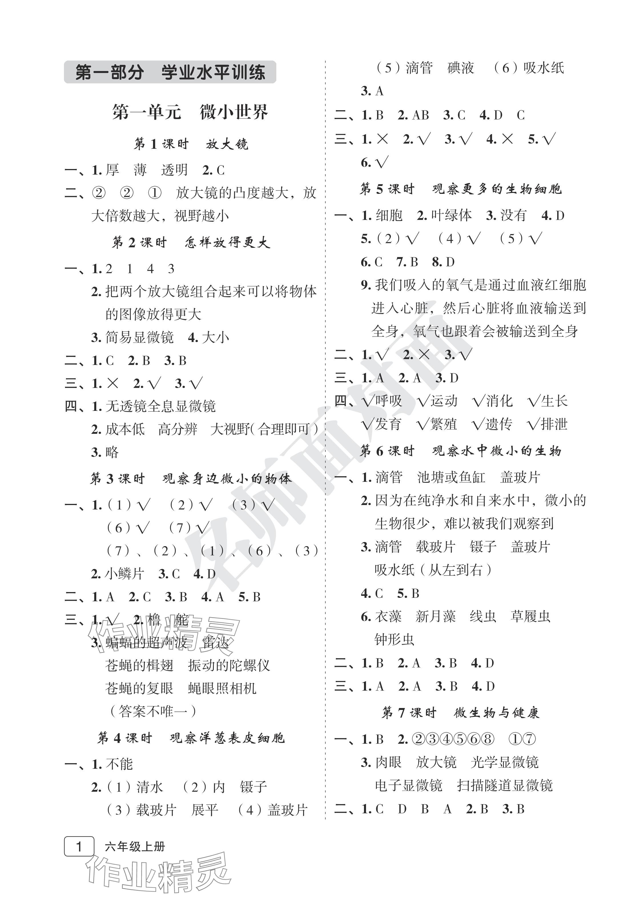 2024年名师面对面先学后练六年级科学上册教科版评议教辅 参考答案第1页