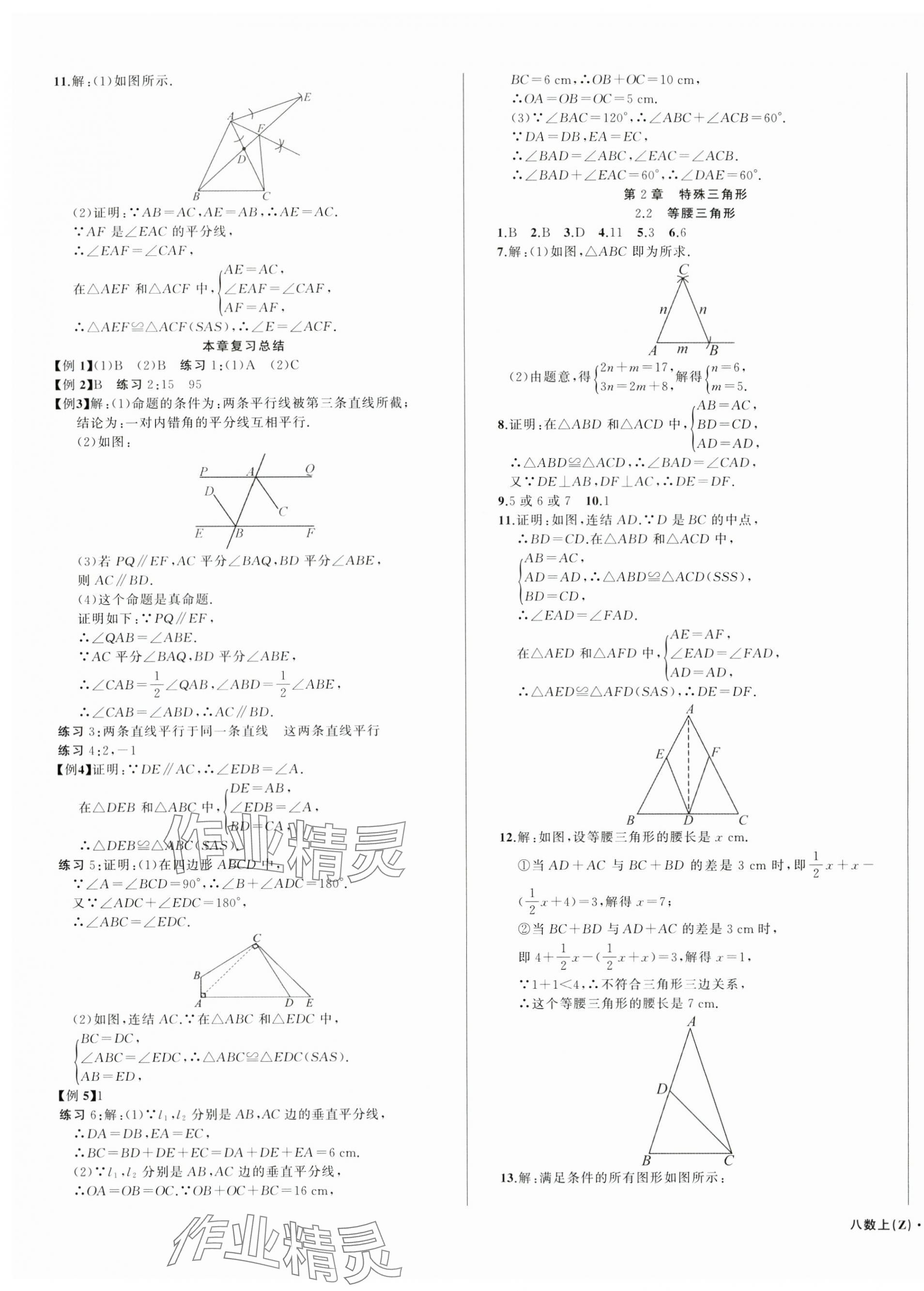 2024年名师面对面同步作业本八年级数学上册浙教版浙江专版 第11页