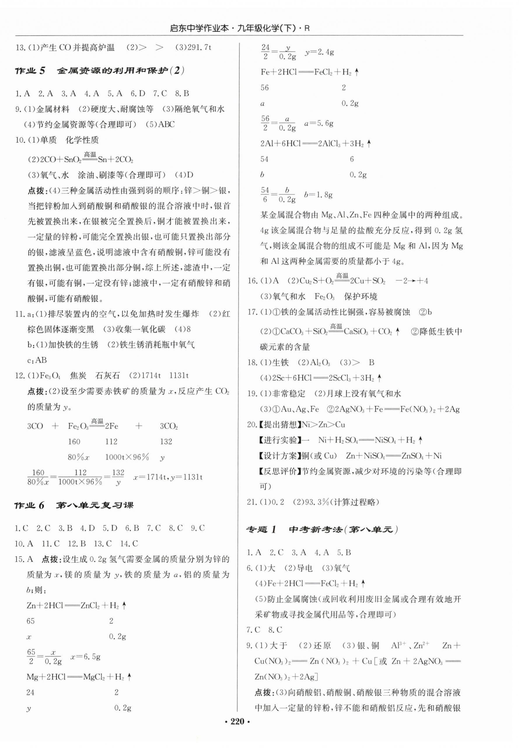 2024年啟東中學(xué)作業(yè)本九年級化學(xué)下冊人教版 第2頁