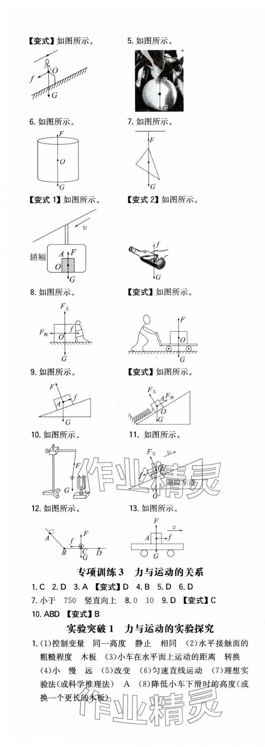 2024年一本同步训练八年级初中物理下册人教版 第5页