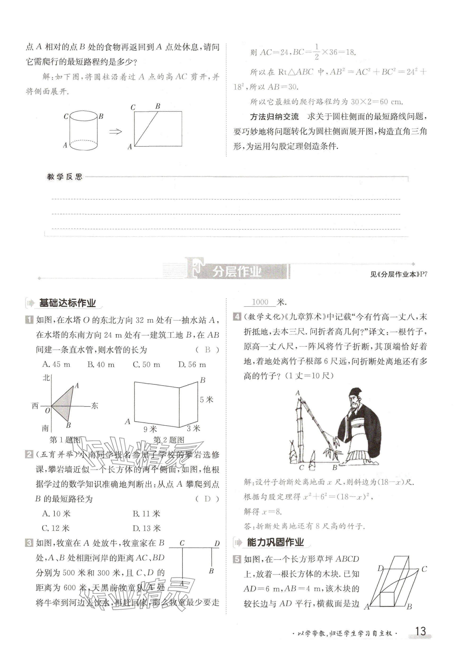 2024年金太阳导学案八年级数学上册北师大版 参考答案第13页