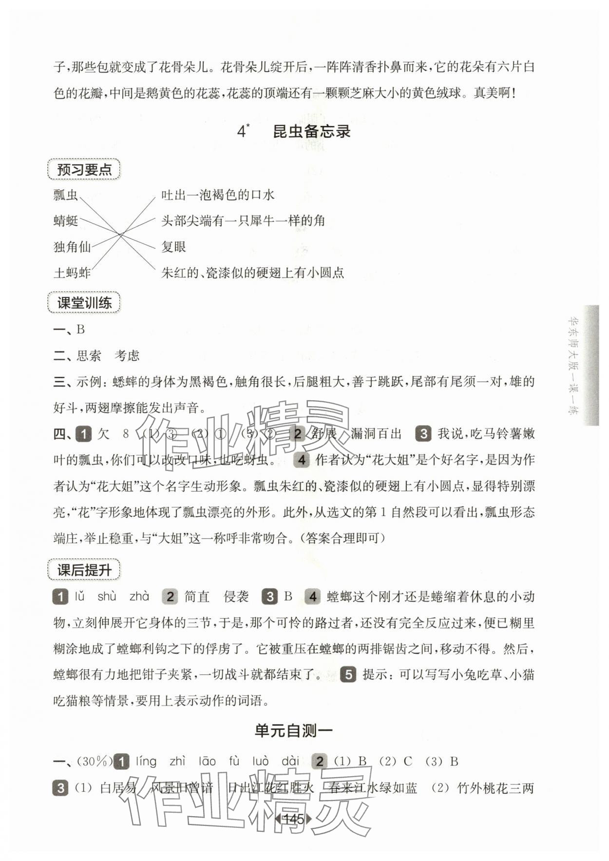 2024年华东师大版一课一练三年级语文下册人教版五四制 参考答案第3页