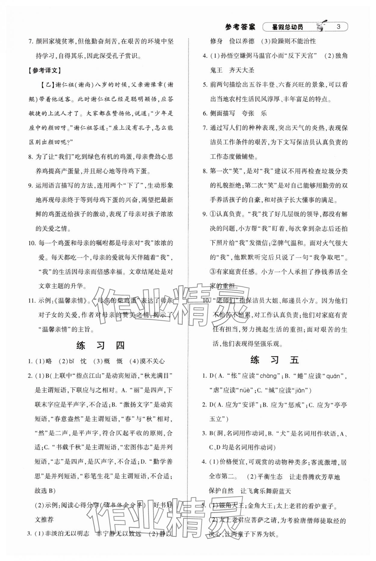 2024年暑假总动员7年级升8年级语文语文版宁夏人民教育出版社 参考答案第3页