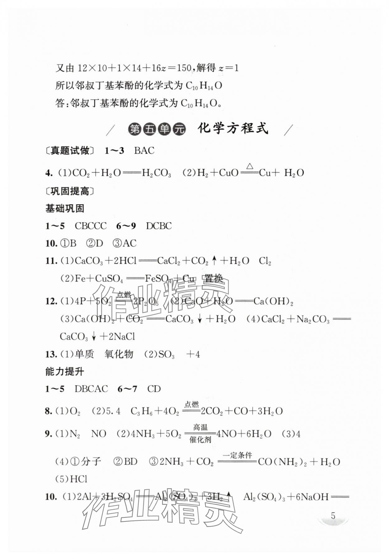 2024年剑指中考化学中考郴州专版 第5页