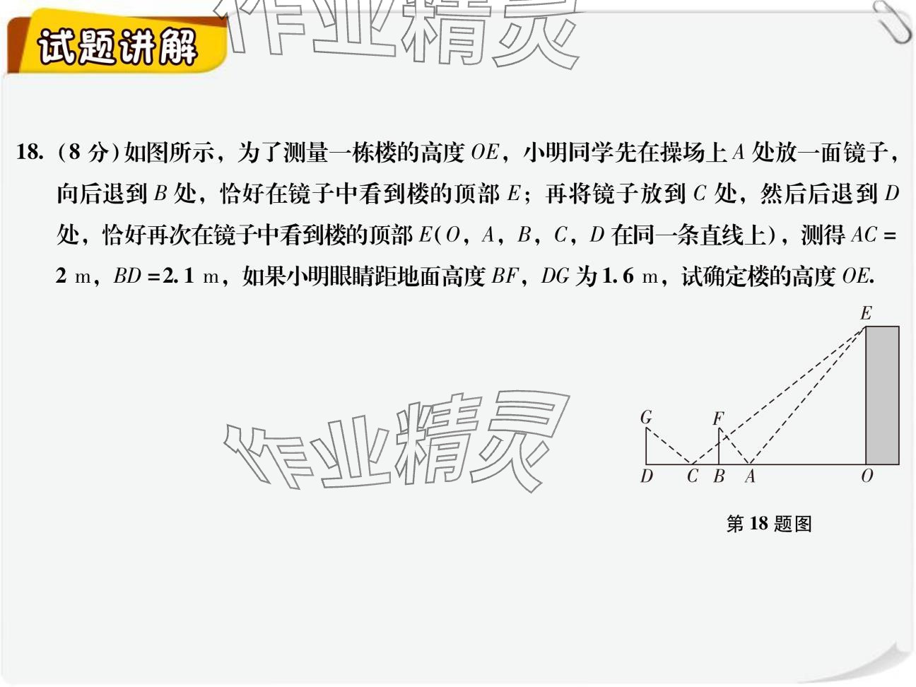 2024年复习直通车期末复习与假期作业九年级数学北师大版 参考答案第13页