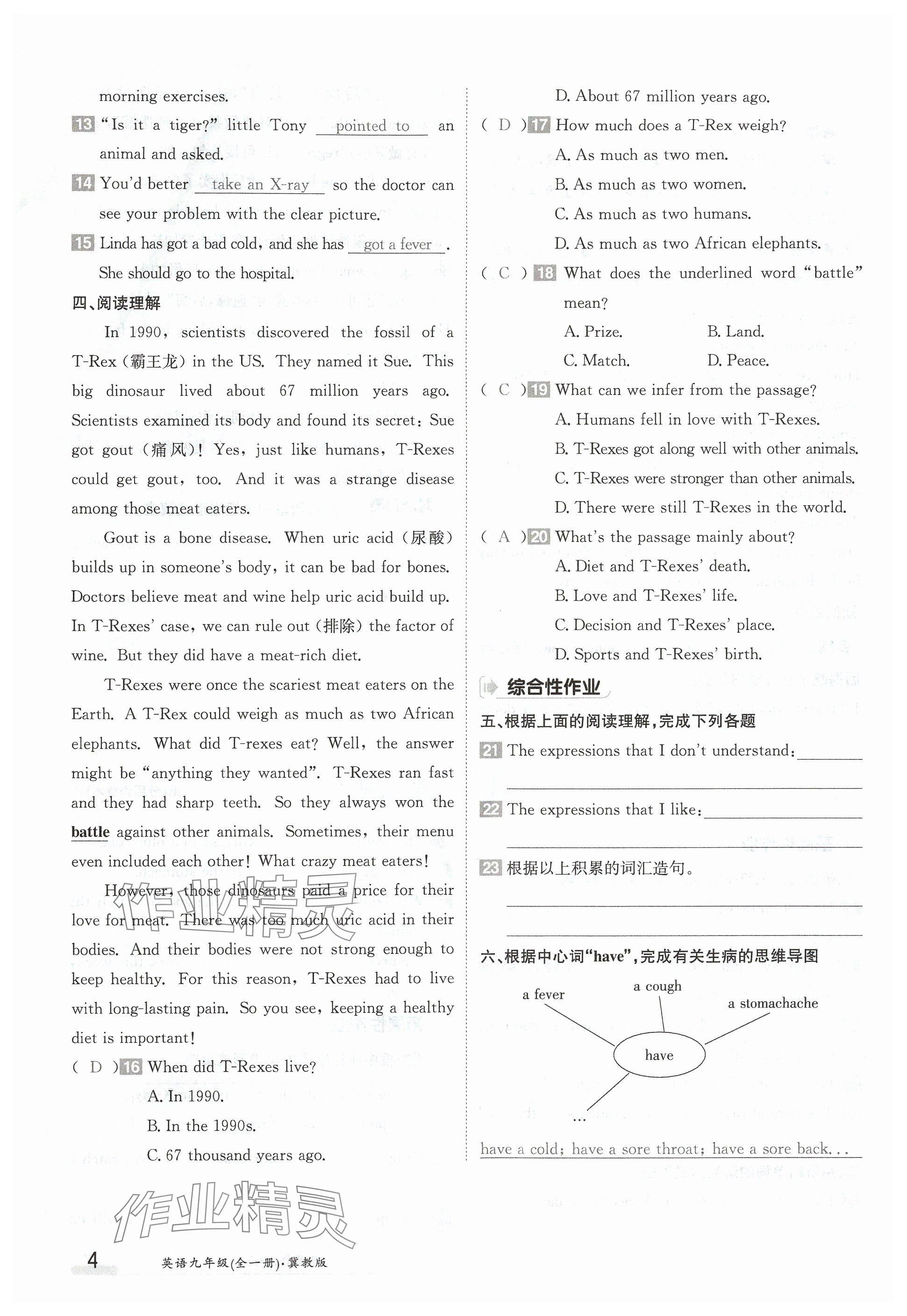 2024年金太陽(yáng)導(dǎo)學(xué)案九年級(jí)英語(yǔ)全一冊(cè)冀教版 參考答案第4頁(yè)