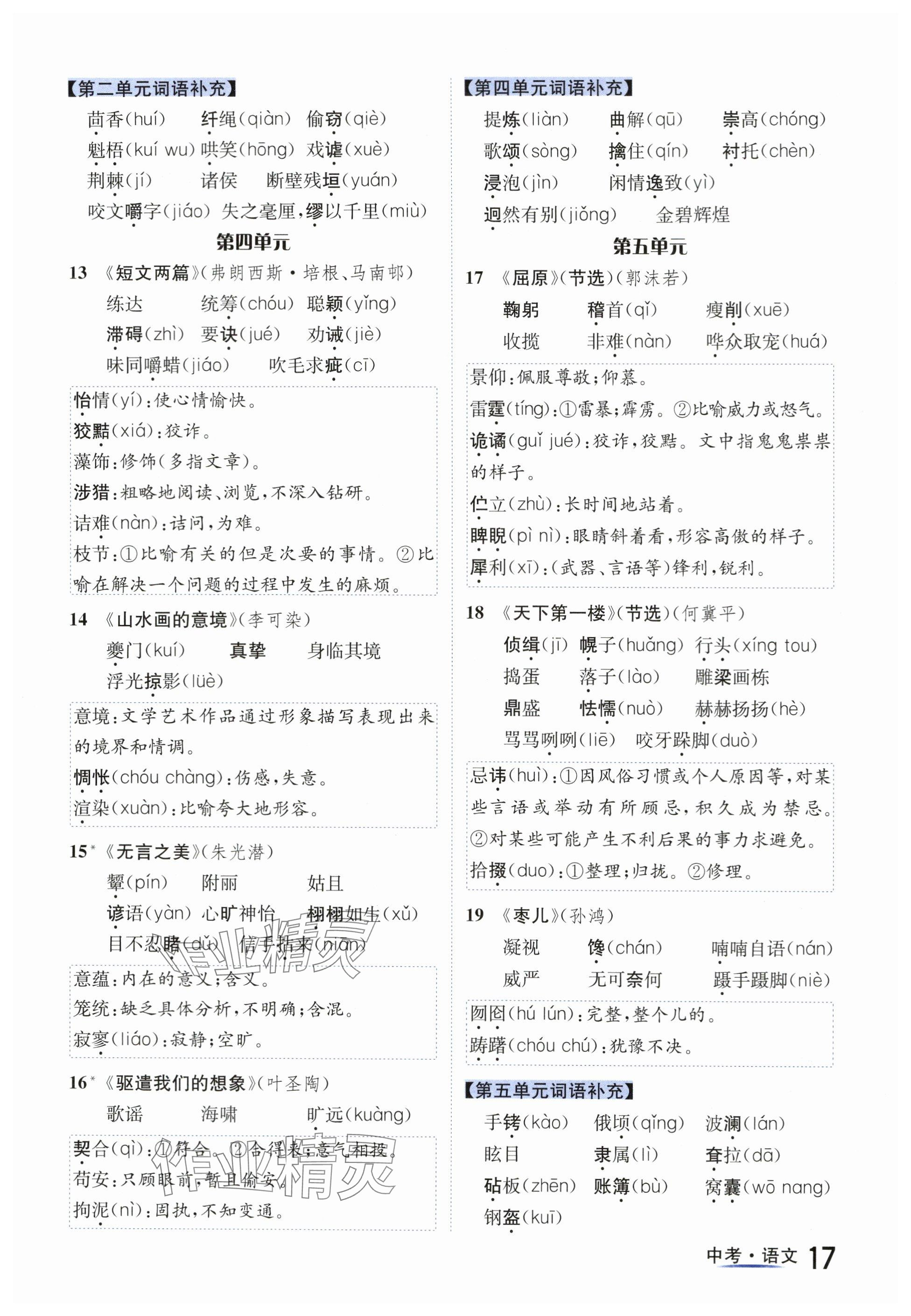 2024年國華圖書中考拐點(diǎn)語文南充專版 參考答案第17頁