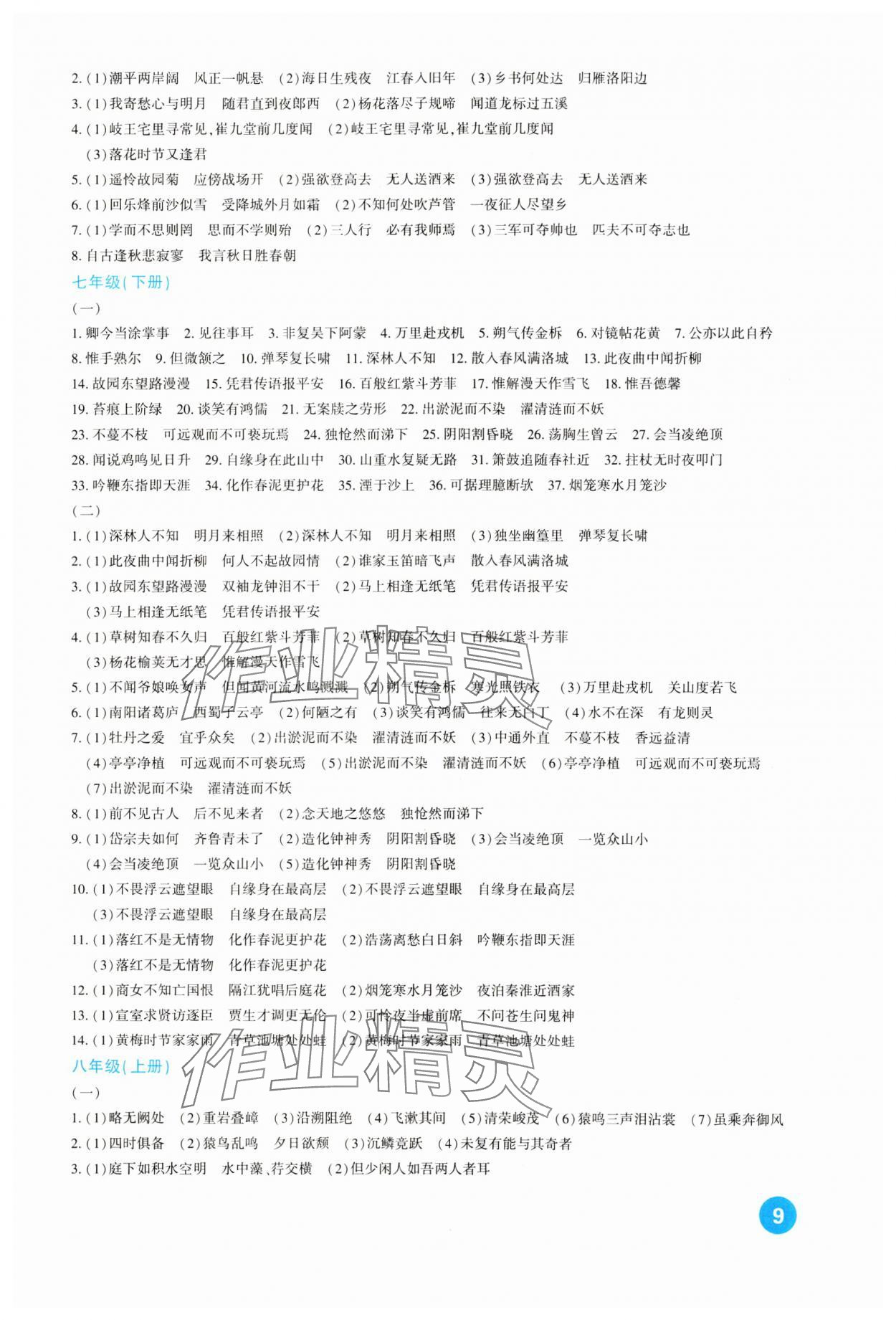 2024年中考总复习新疆文化出版社语文 第9页