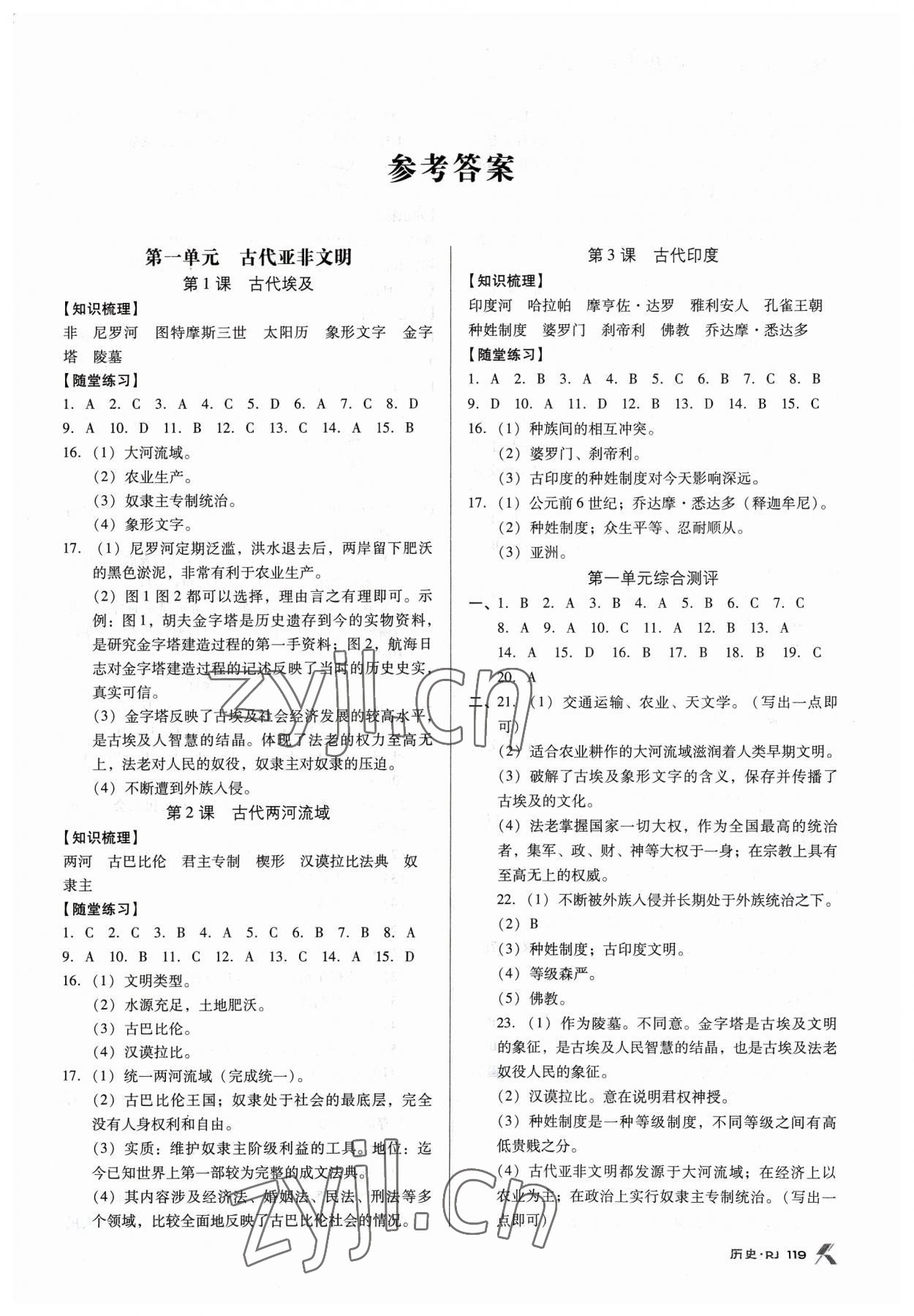 2023年全优点练课计划九年级历史上册人教版 第1页